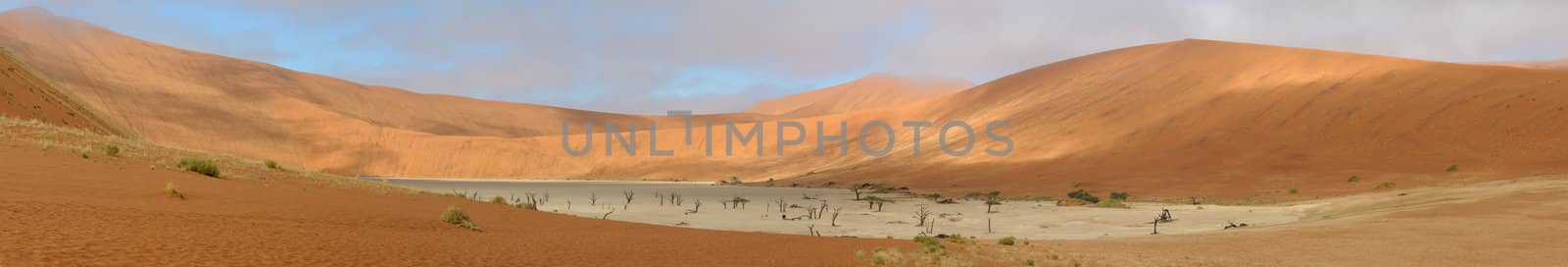 Panorama from four photos at Deadvlei near Sossusvlei,  Namibia