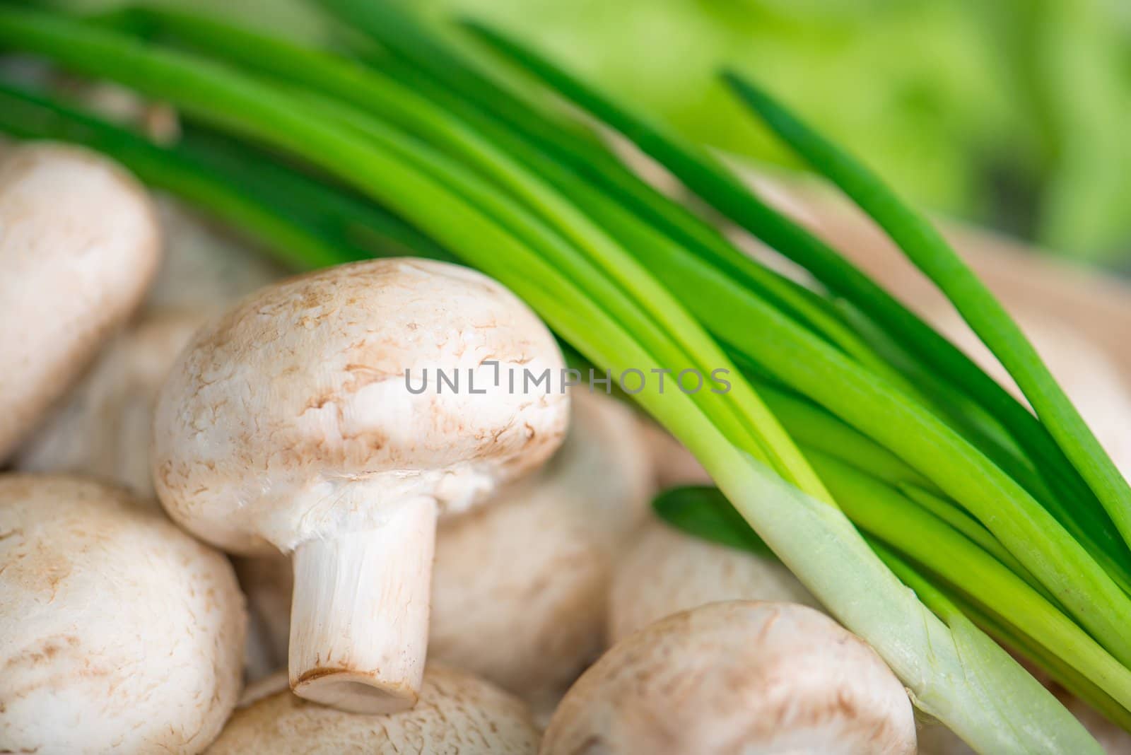 field mushrooms with green onions