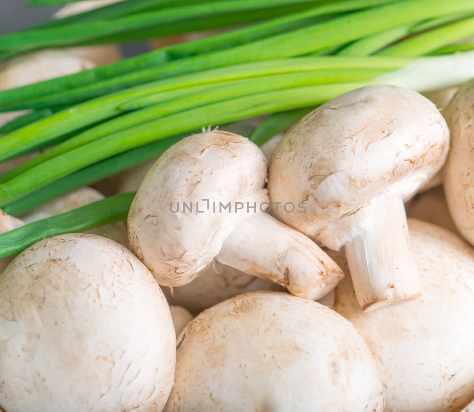 field mushrooms with green onions closeup