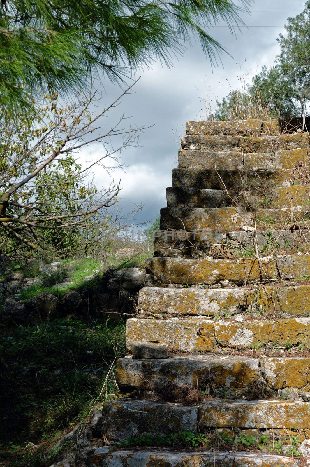 Grassed stone staircase of an abandoned rural house.