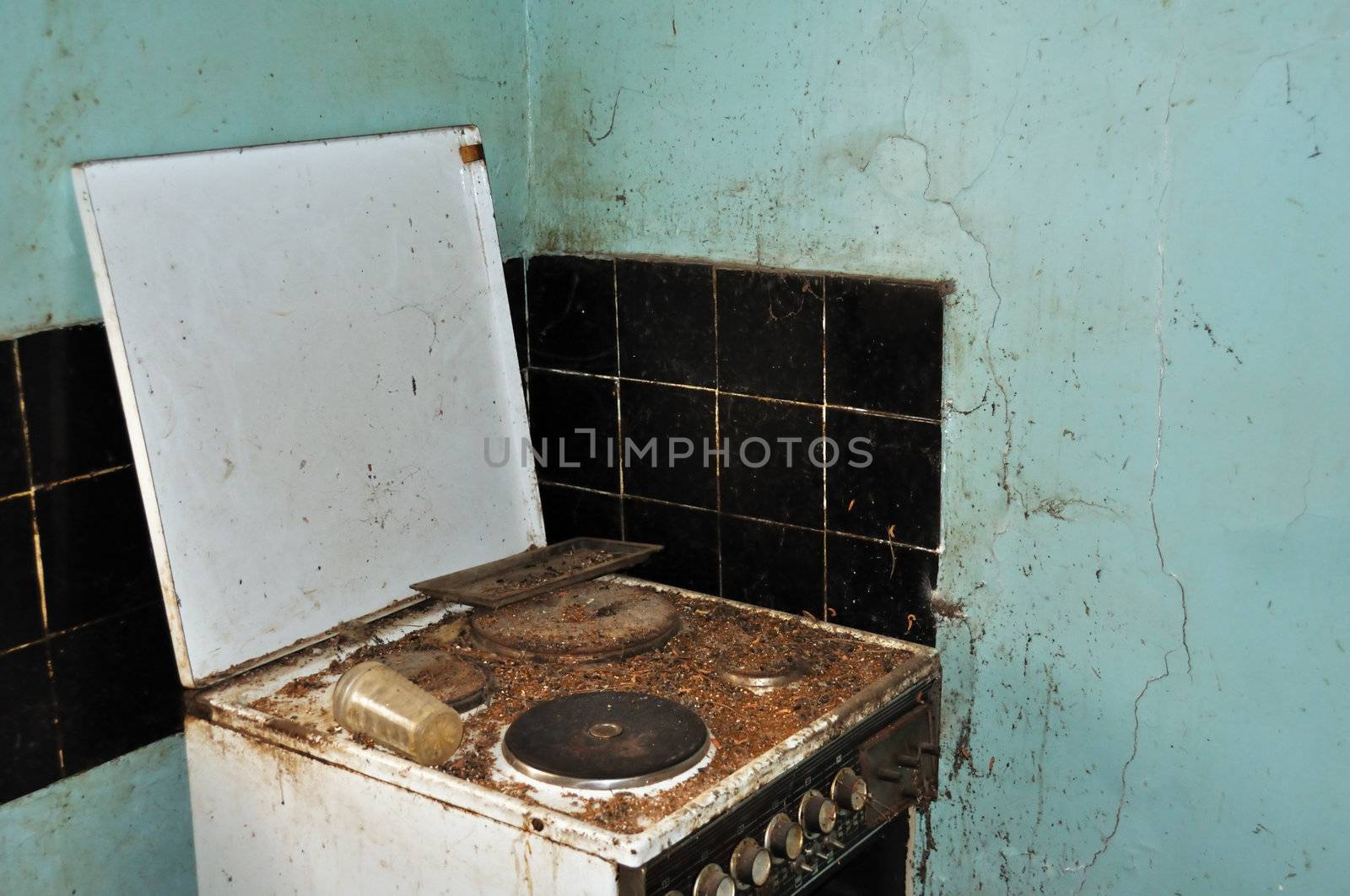 Dirty cook stove and moldy wall. Abandoned house kitchen.