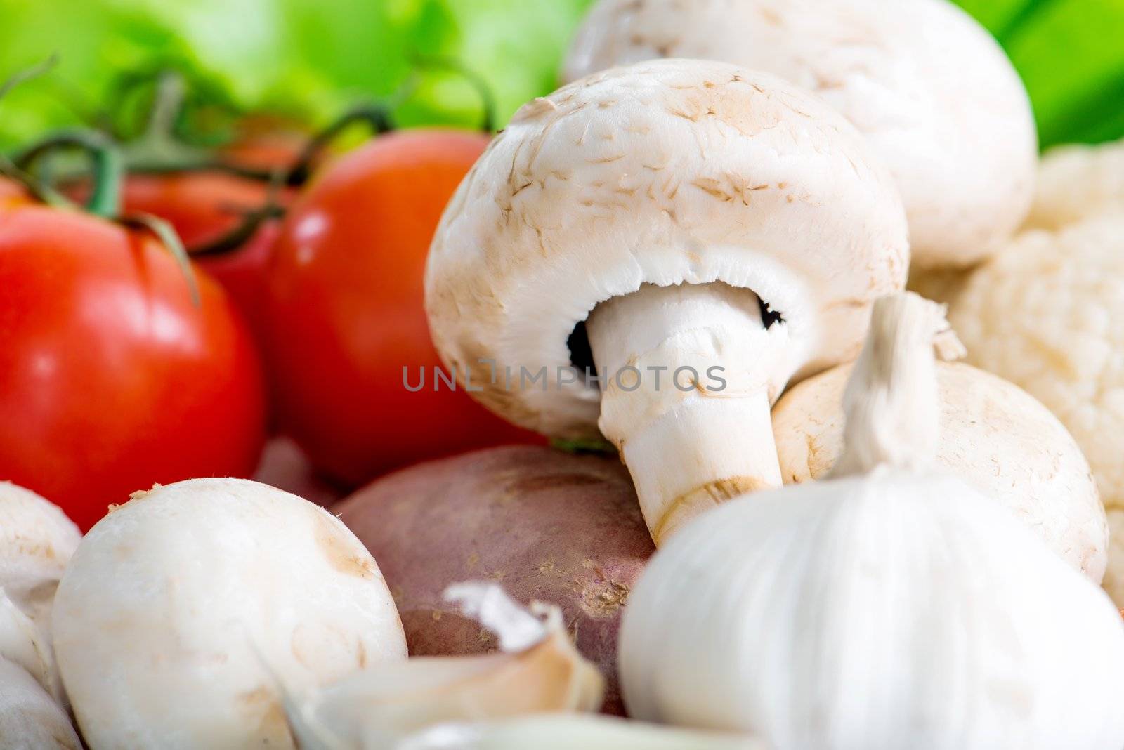mushrooms with fresh colorful vegetables on table closeup