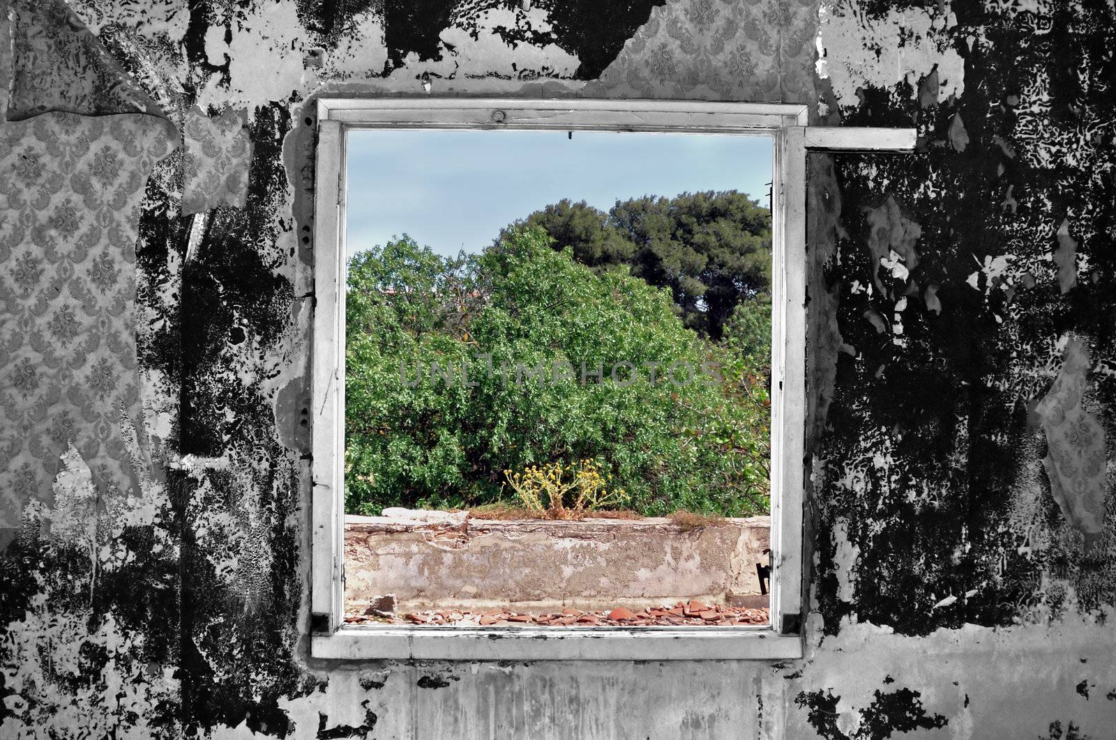 Weathered wall and window view in abandoned rural house. Selective saturation.