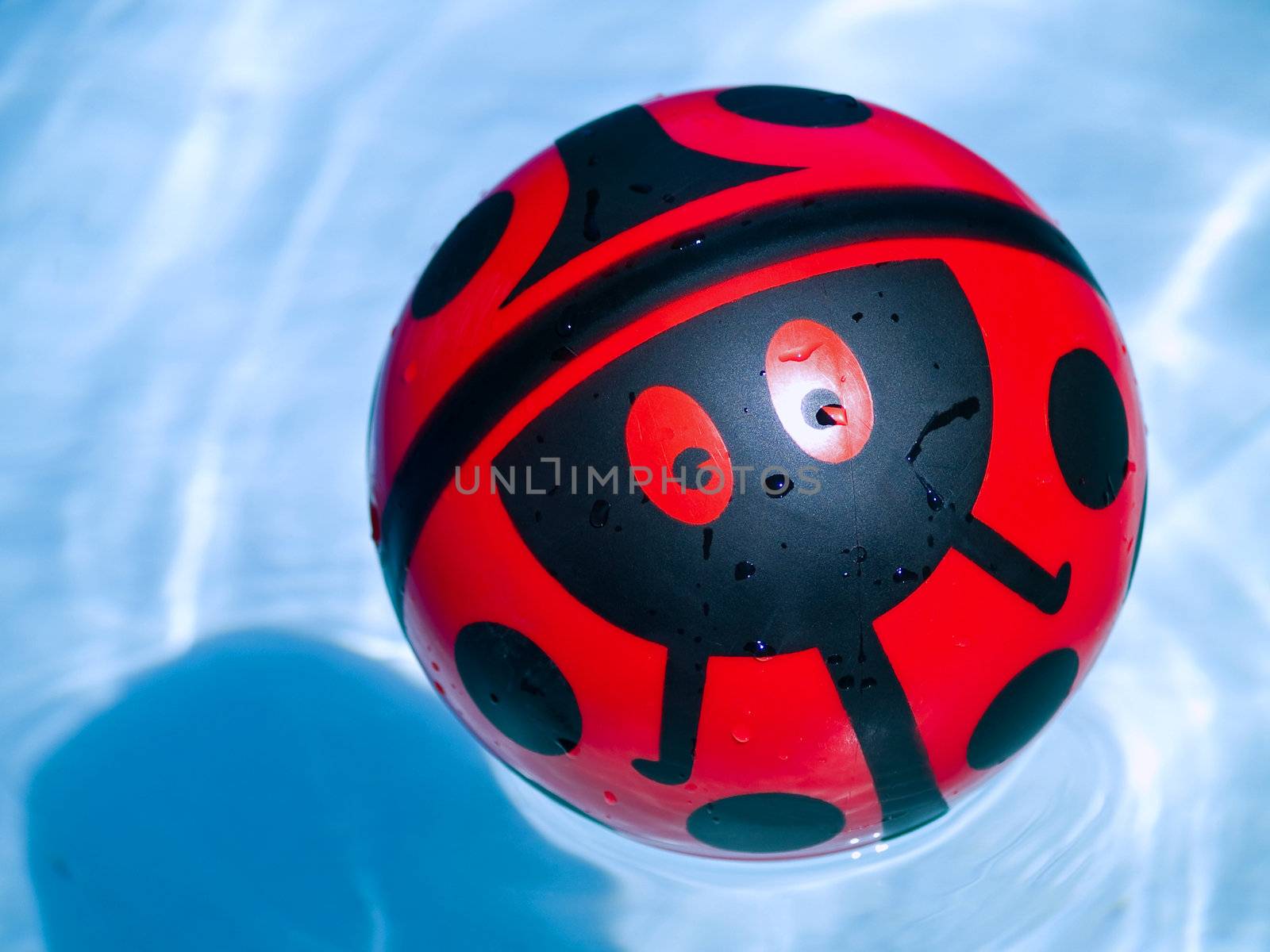 Lady bug ball in a blue swimming pool