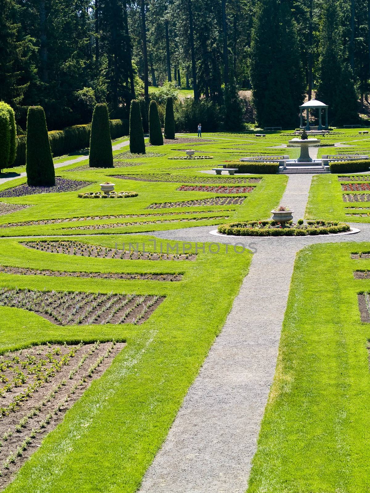 A Well Groomed Park in Early Spring with a Paved Path