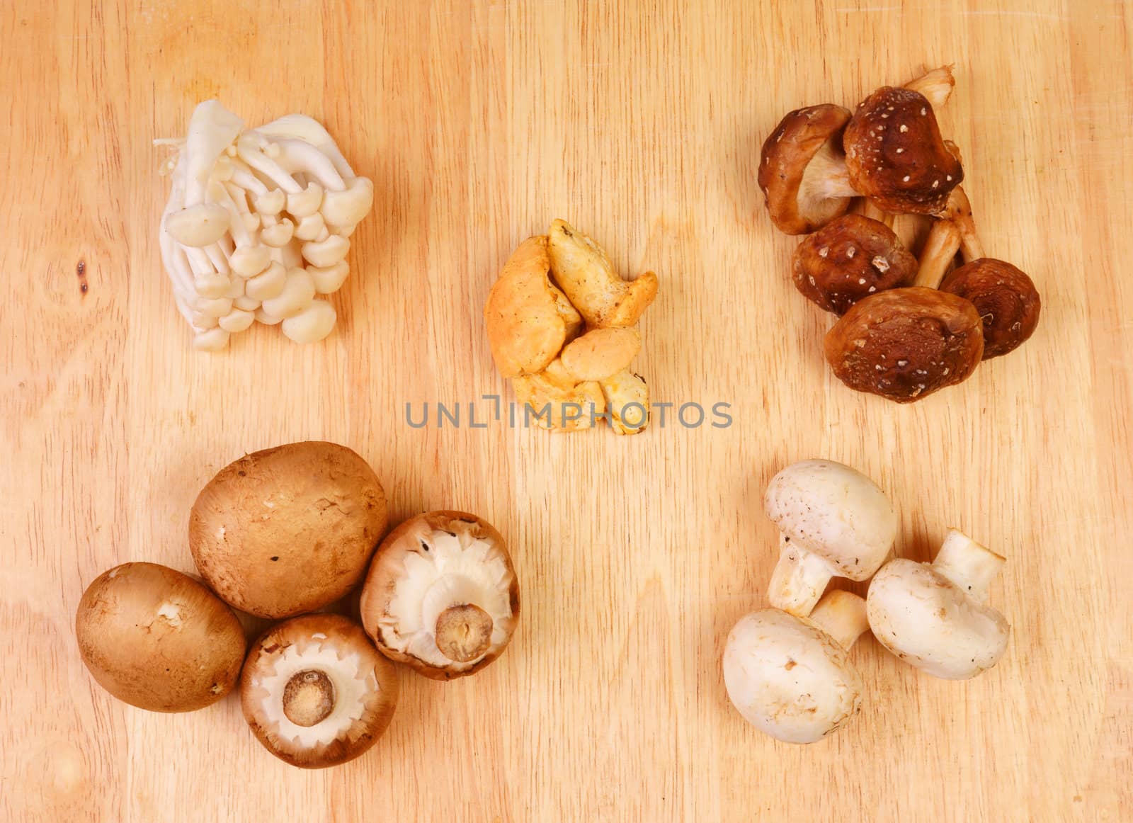 Several mushrooms against a wooden background