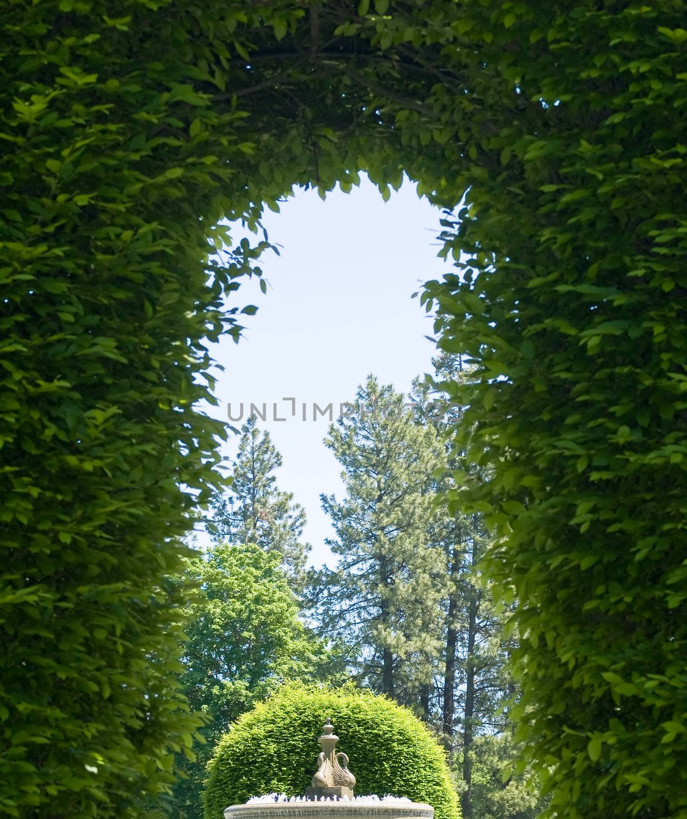 Outdoor Park Archways over a Paved Path on a Sunny Day