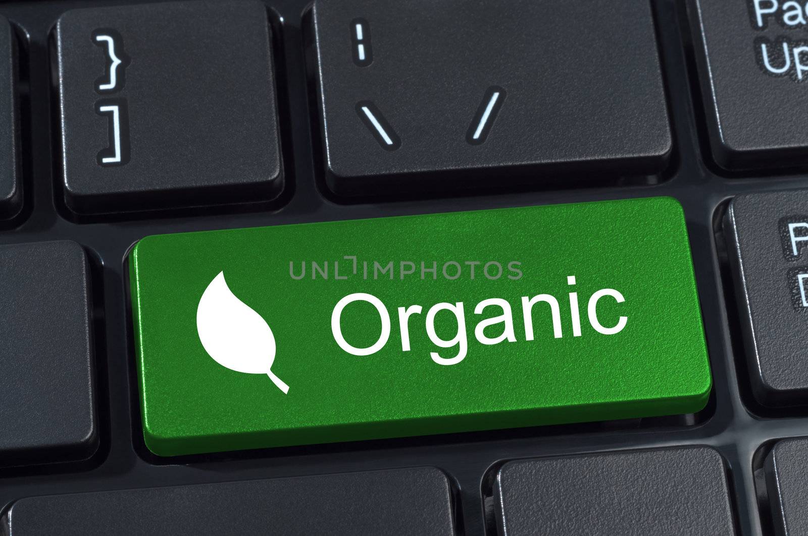 Green computer keyboard button with the word organic and leaf icon. Concept of ecology and organics.