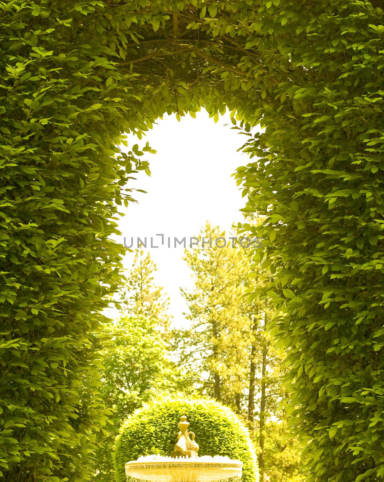 Outdoor Park Archways over a Paved Path on a Sunny Day