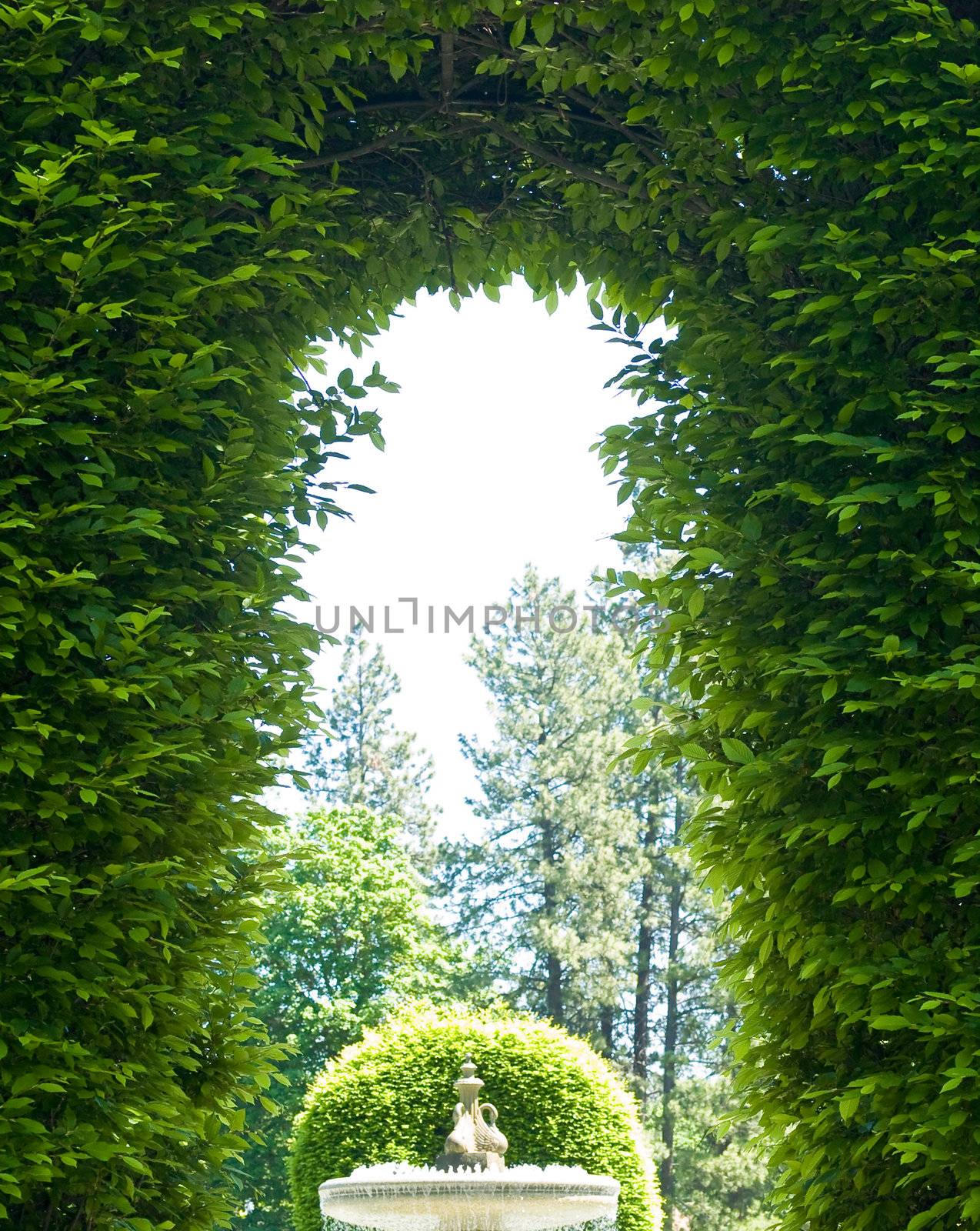 Outdoor Park Archways over a Paved Path on a Sunny Day