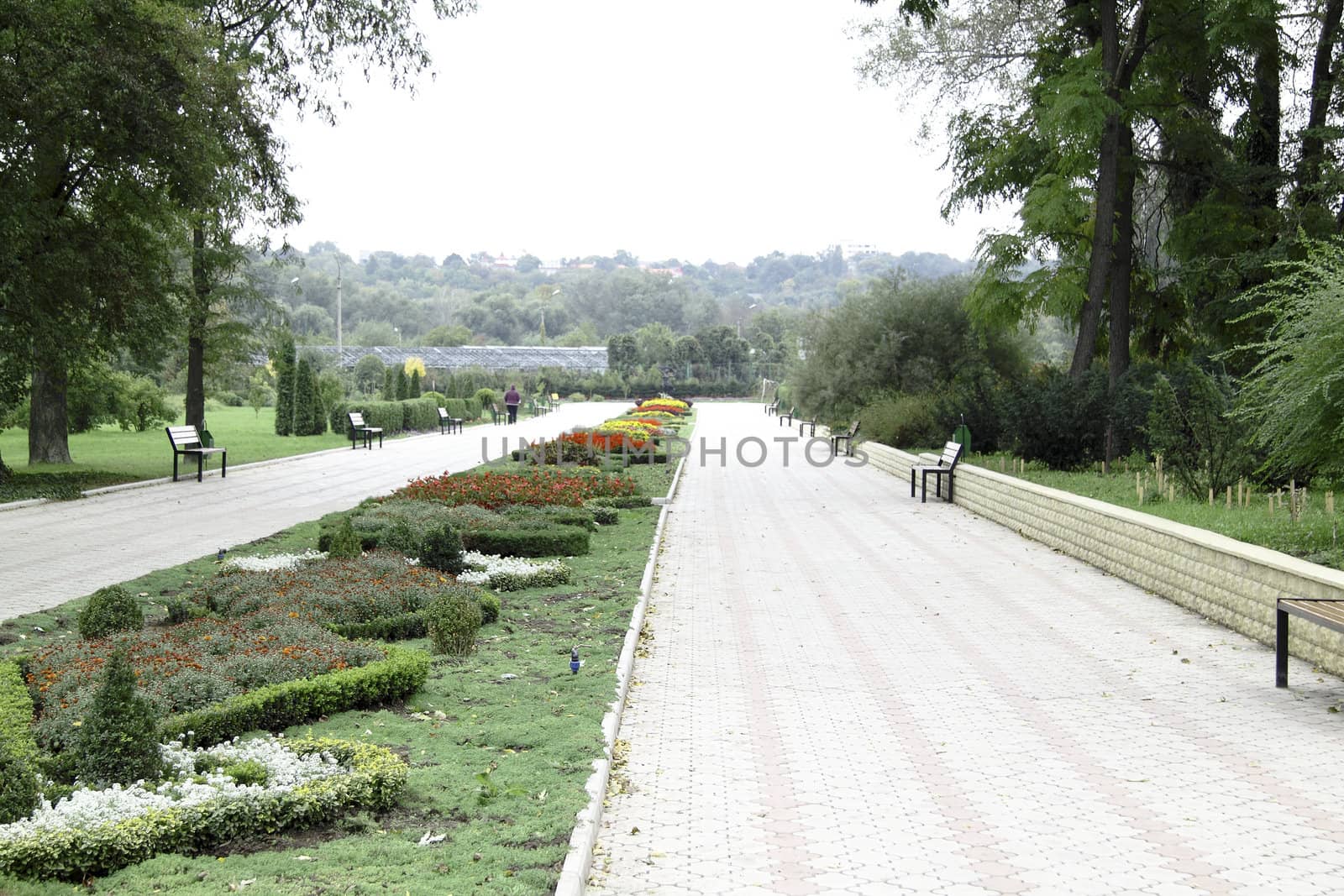 park with flowerbeds by shutswis