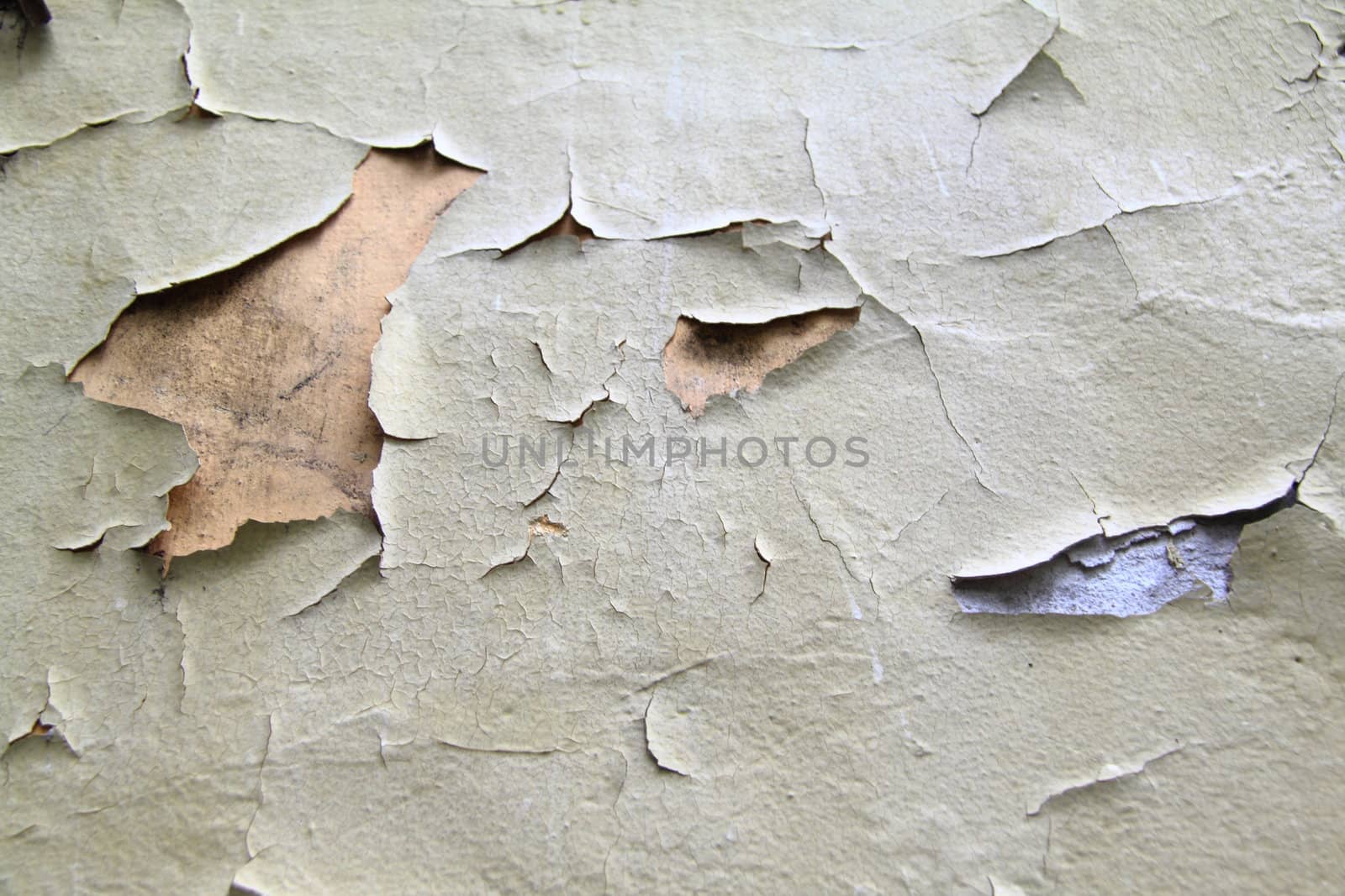 paint wall background or texture for you site