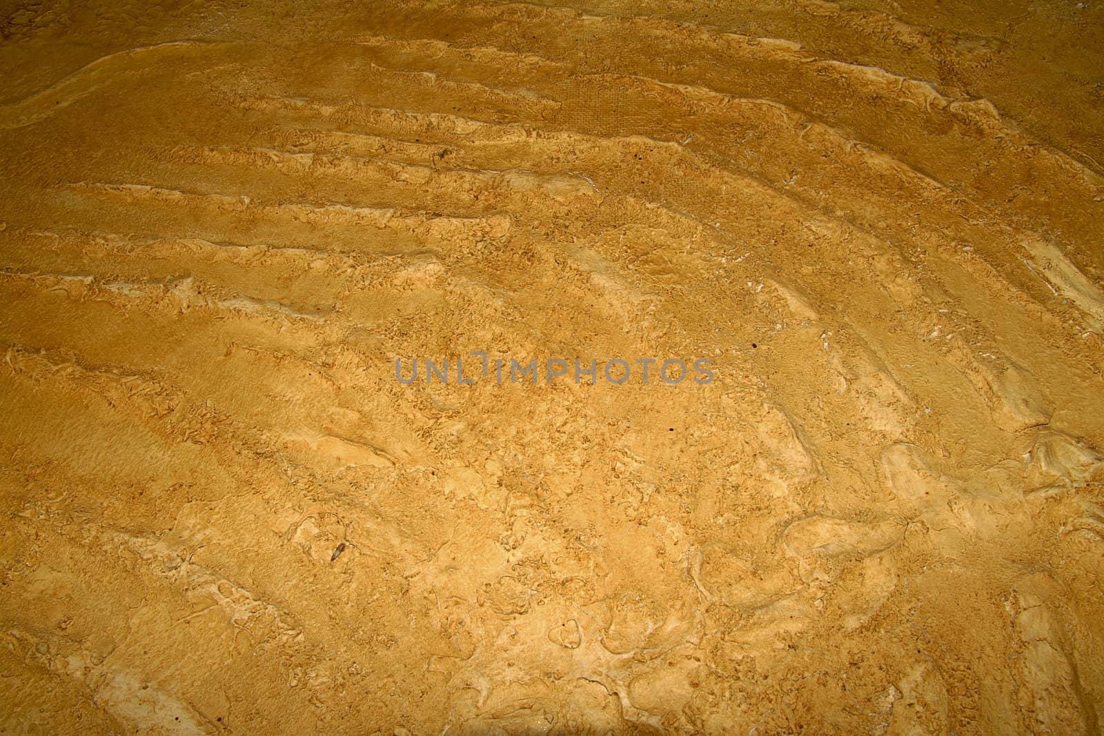 wall with  fossils background or texture site