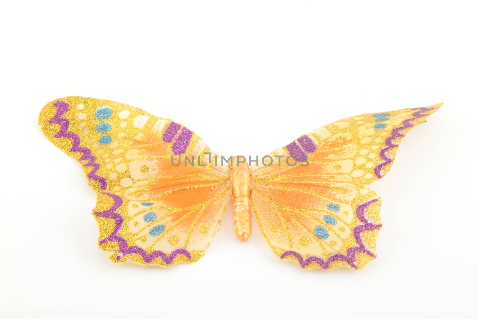 Yellow butterfly on white background for site