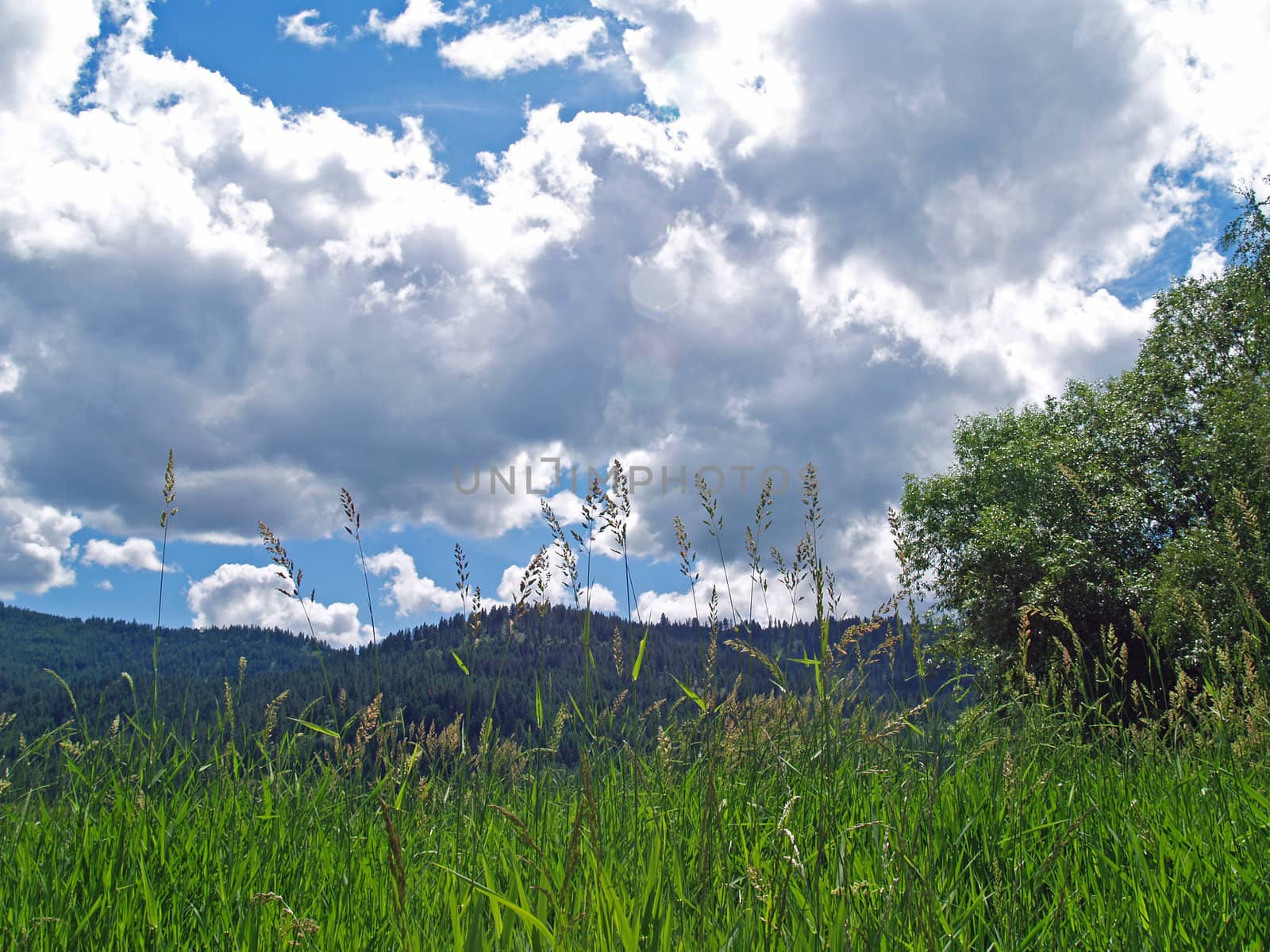 Grassy Field with Mountains and a Partly Cloudy Blue Sky in Background