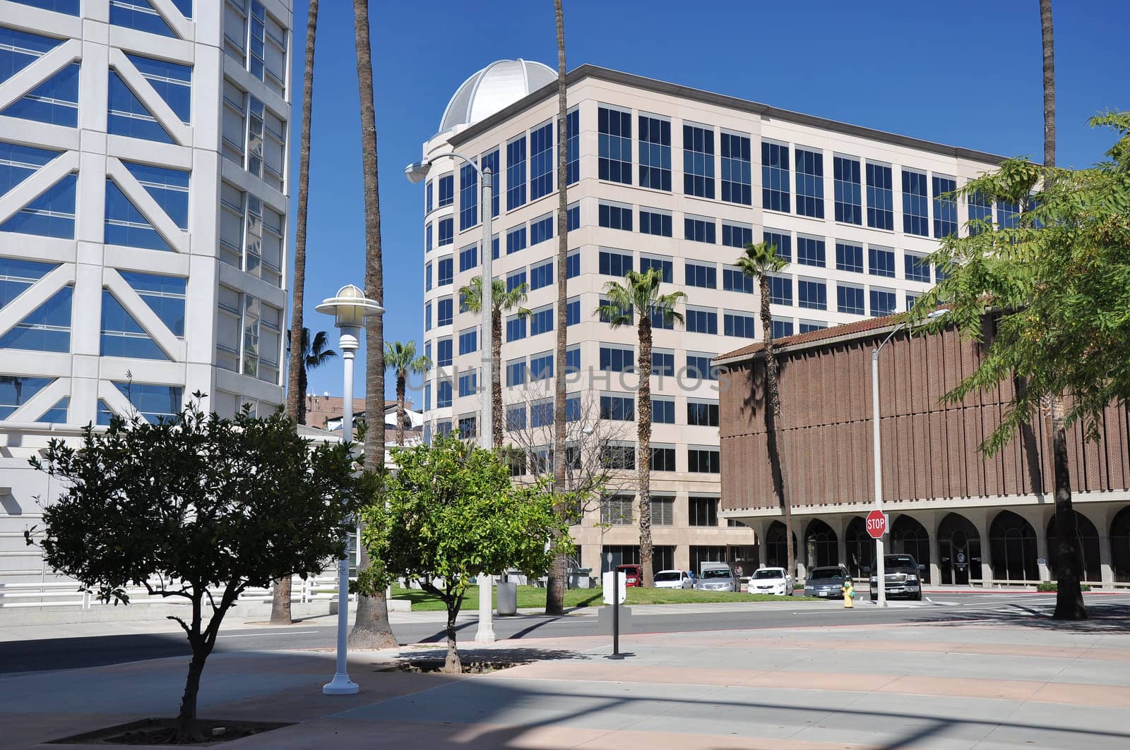 View of office towers and palm trees in downtown Riverside, California.
