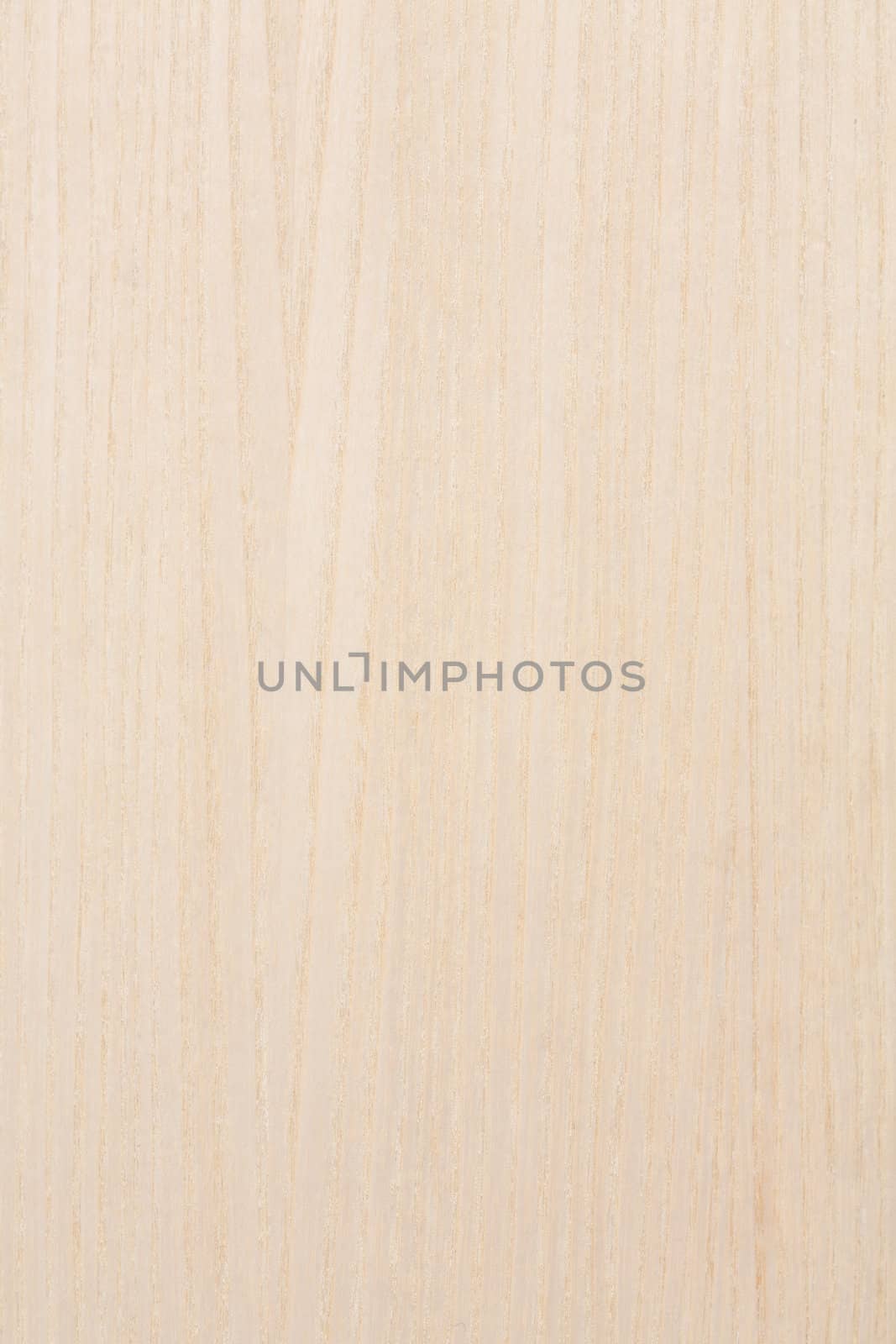 white wooden background by sfinks