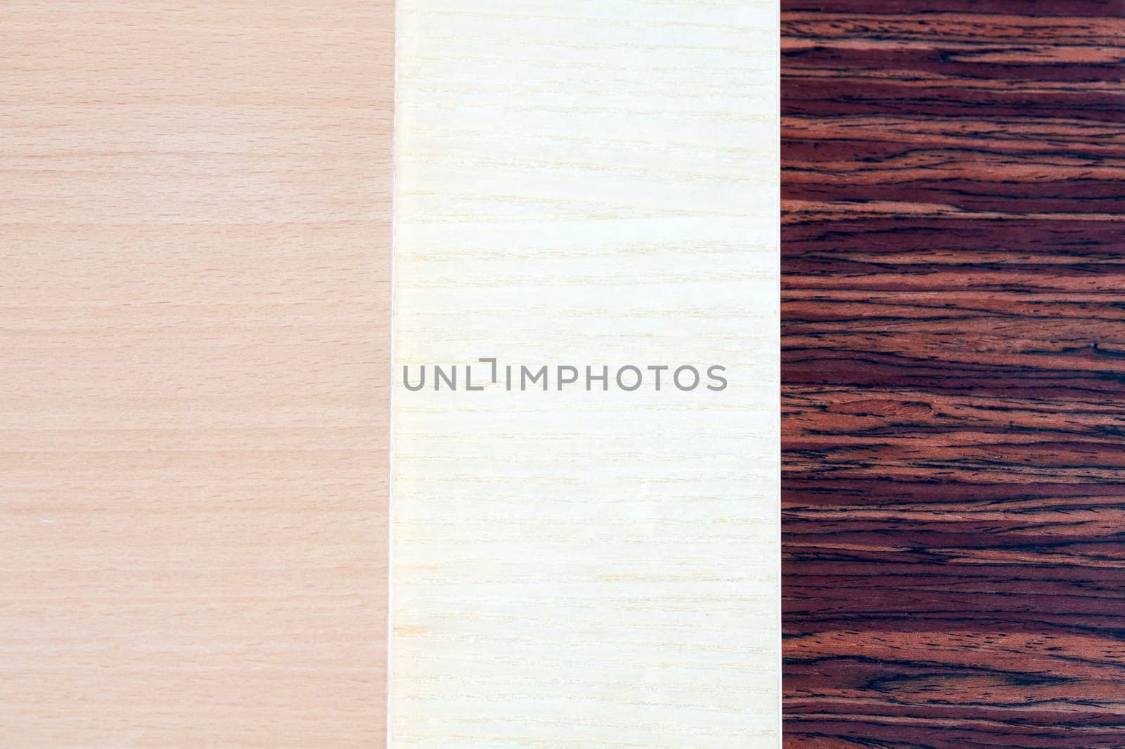 Wood background. Wooden boards