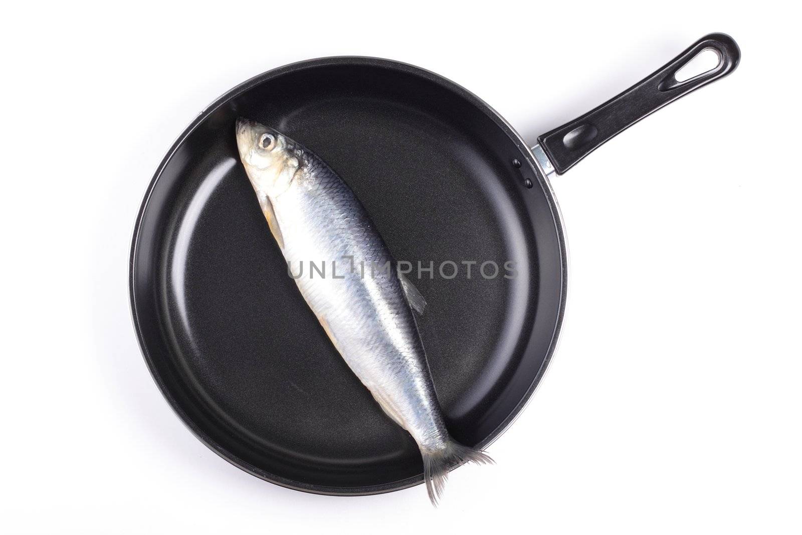 fresh fish in pan by shutswis