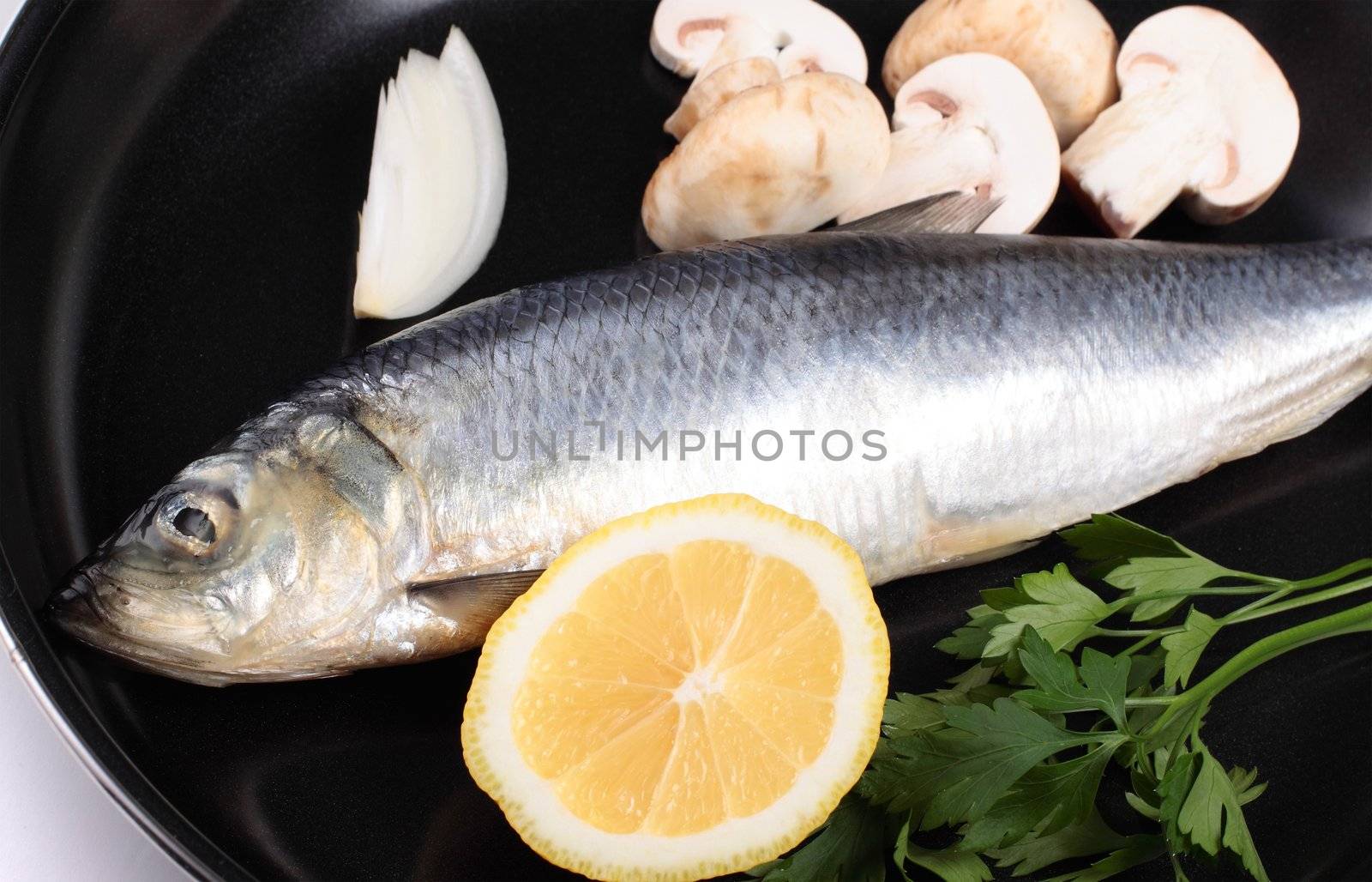 fish in pan close up by shutswis