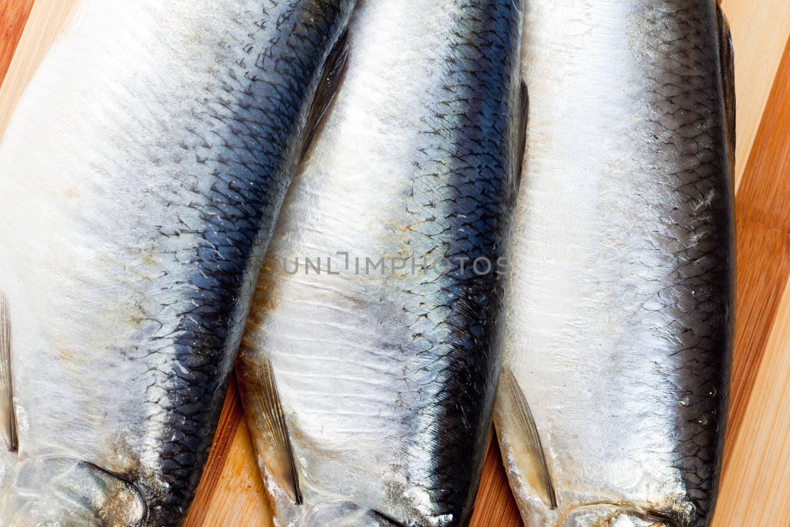 Fresh fishes on board close up for you