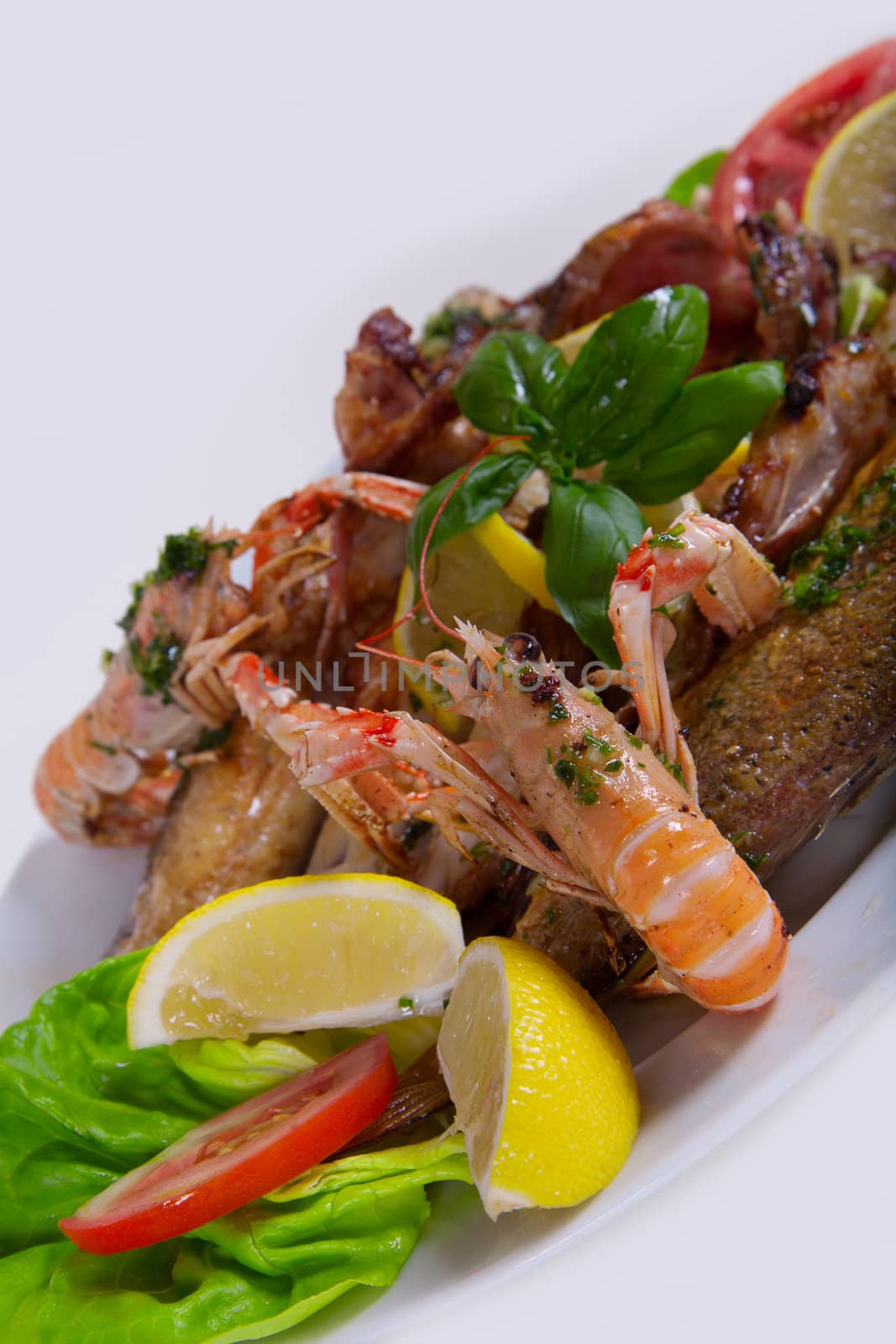 Delicious fresh Adriatic seafood dish by Lizard