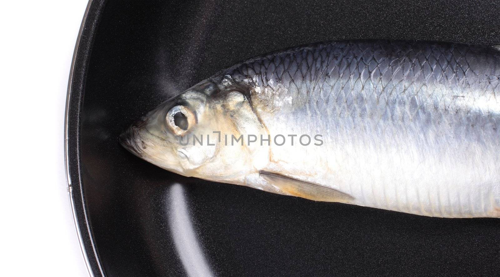 fish on pan close up for you