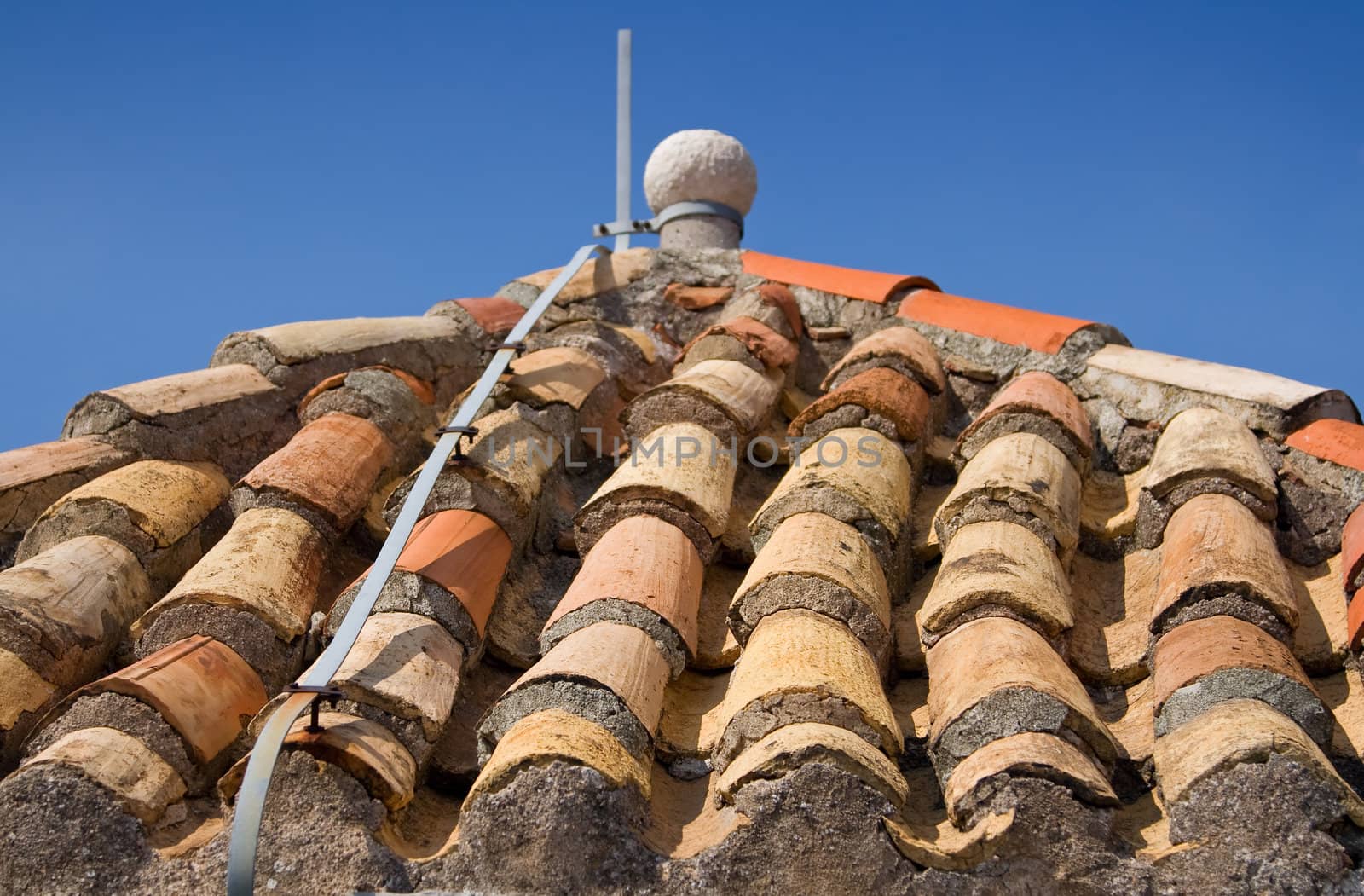 Lightning rod on the roof by Lizard