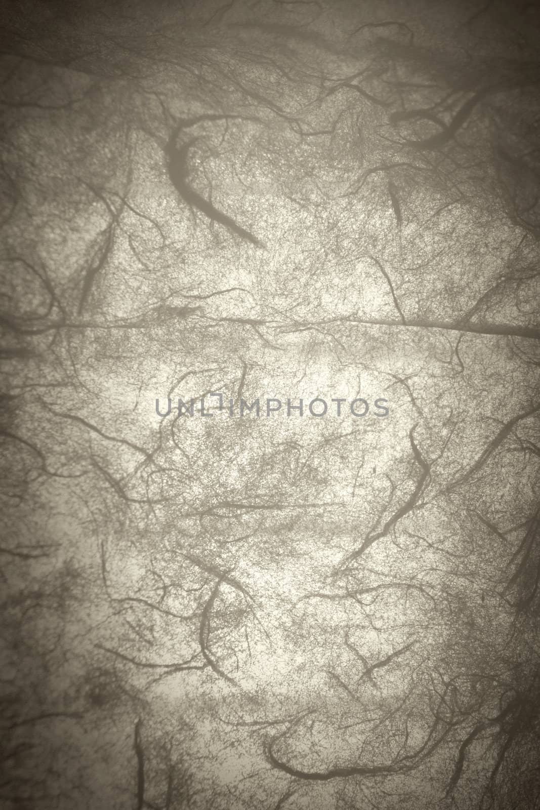 Highly detailed textured antique decorative paper. Great grunge background for your projects.