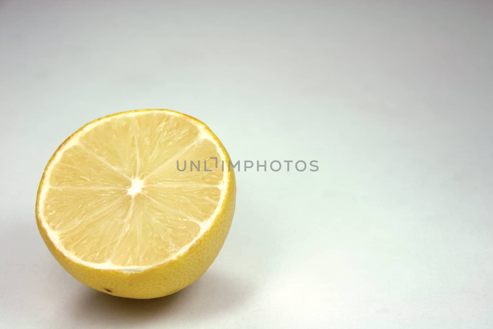a slice of lemon closeup left side
