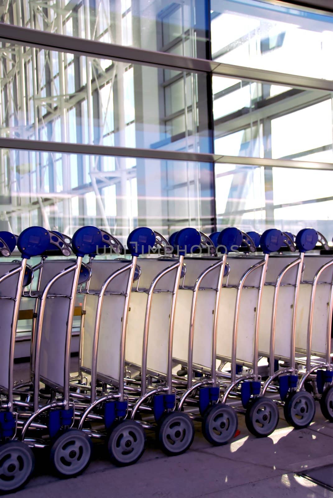 Luggage carts at modern international airport