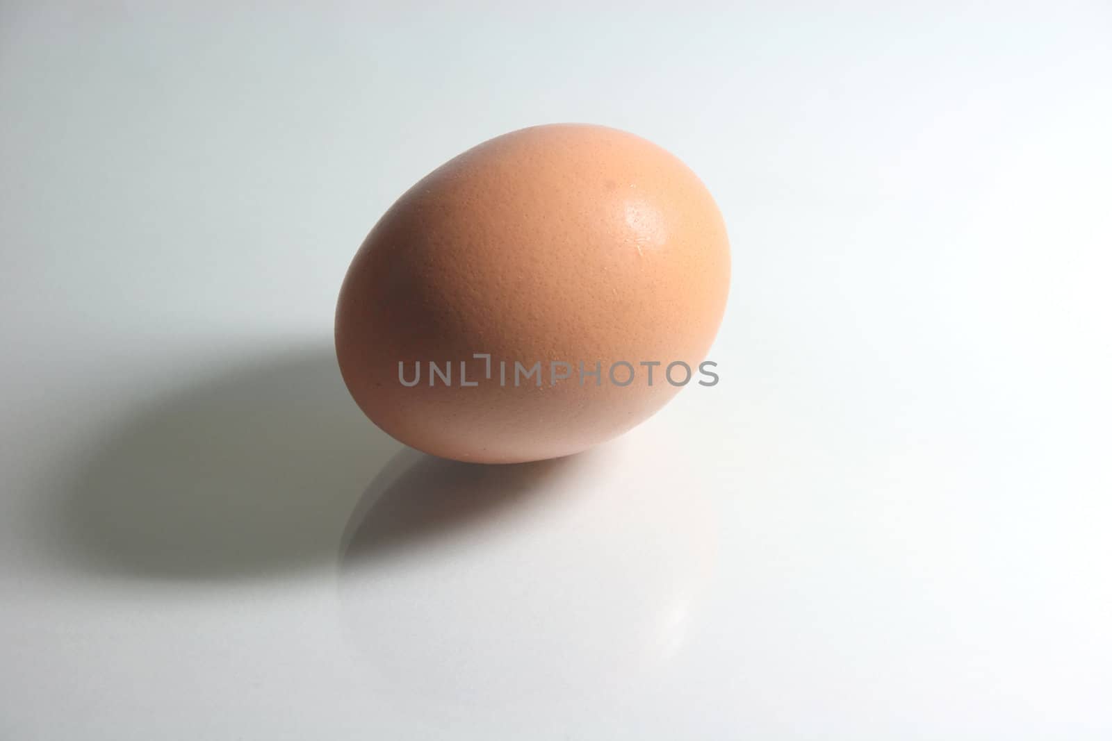 one egg with hard shadow and reflection
