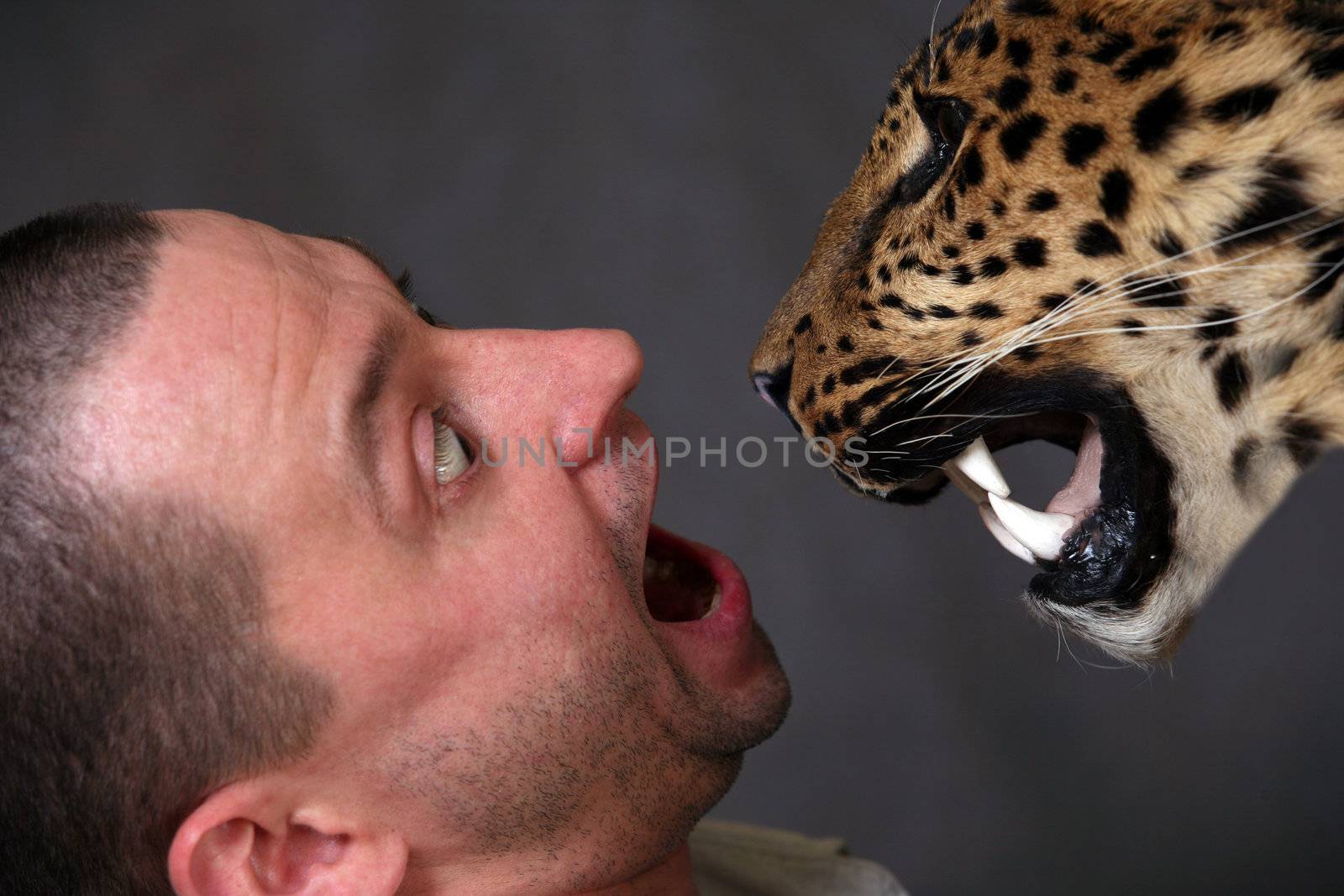 Scared the man and a muzzle of the leopard