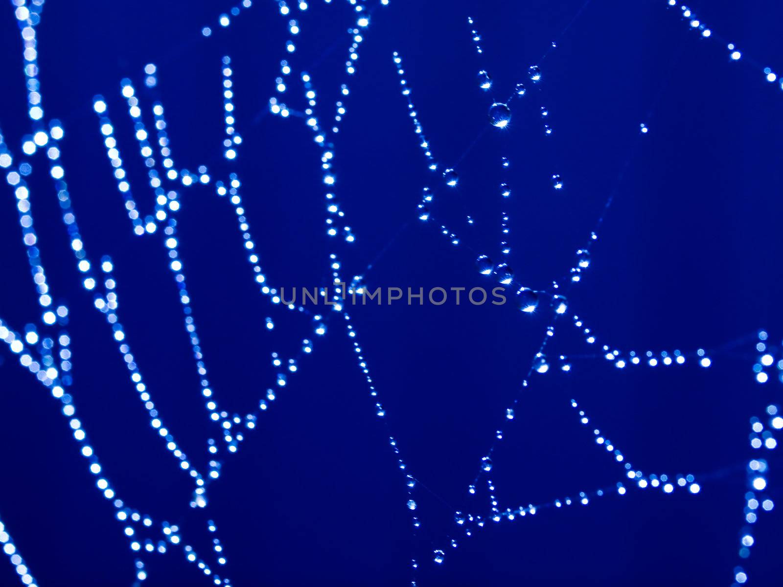 Bluetone Spider Web Abstract with Sparkling Dew Drops Selective Focus