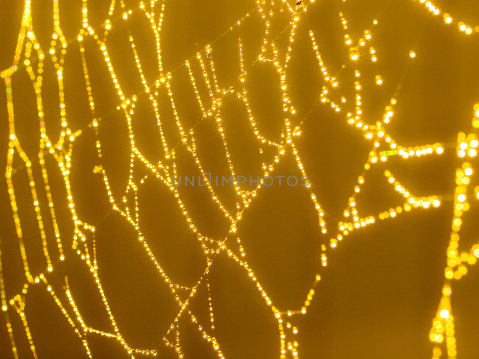 Goldtone Spider Web Abstract with Sparkling Dew Drops Selective Focus