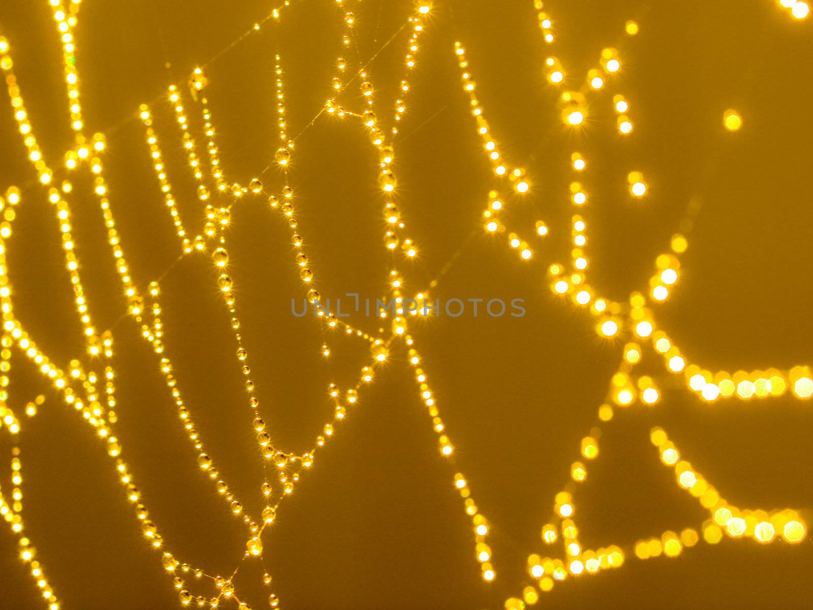 Goldtone Spider Web Abstract with Sparkling Dew Drops Selective Focus