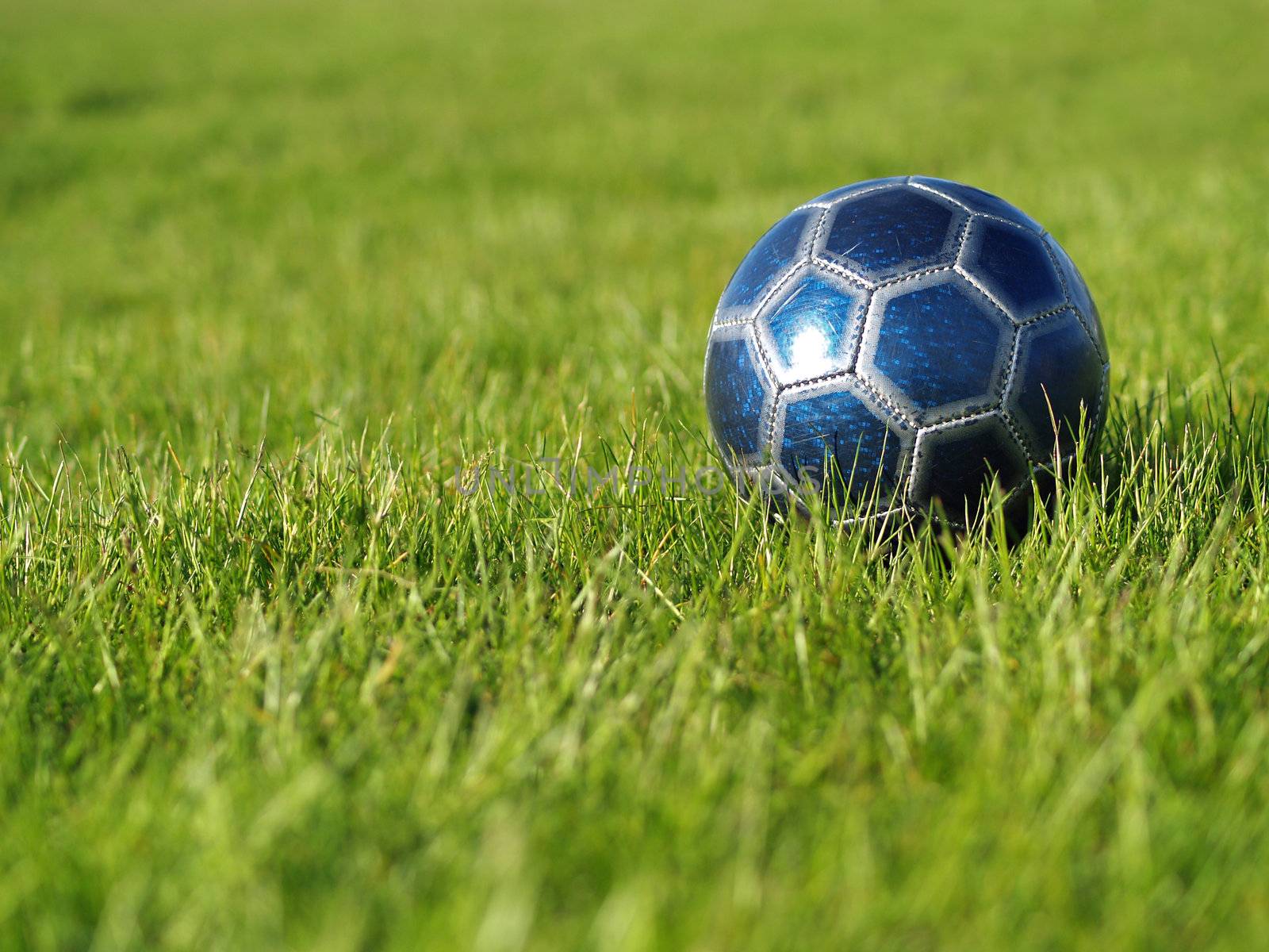 A blue soccer ball on a field of green grass on a bright, sunny day