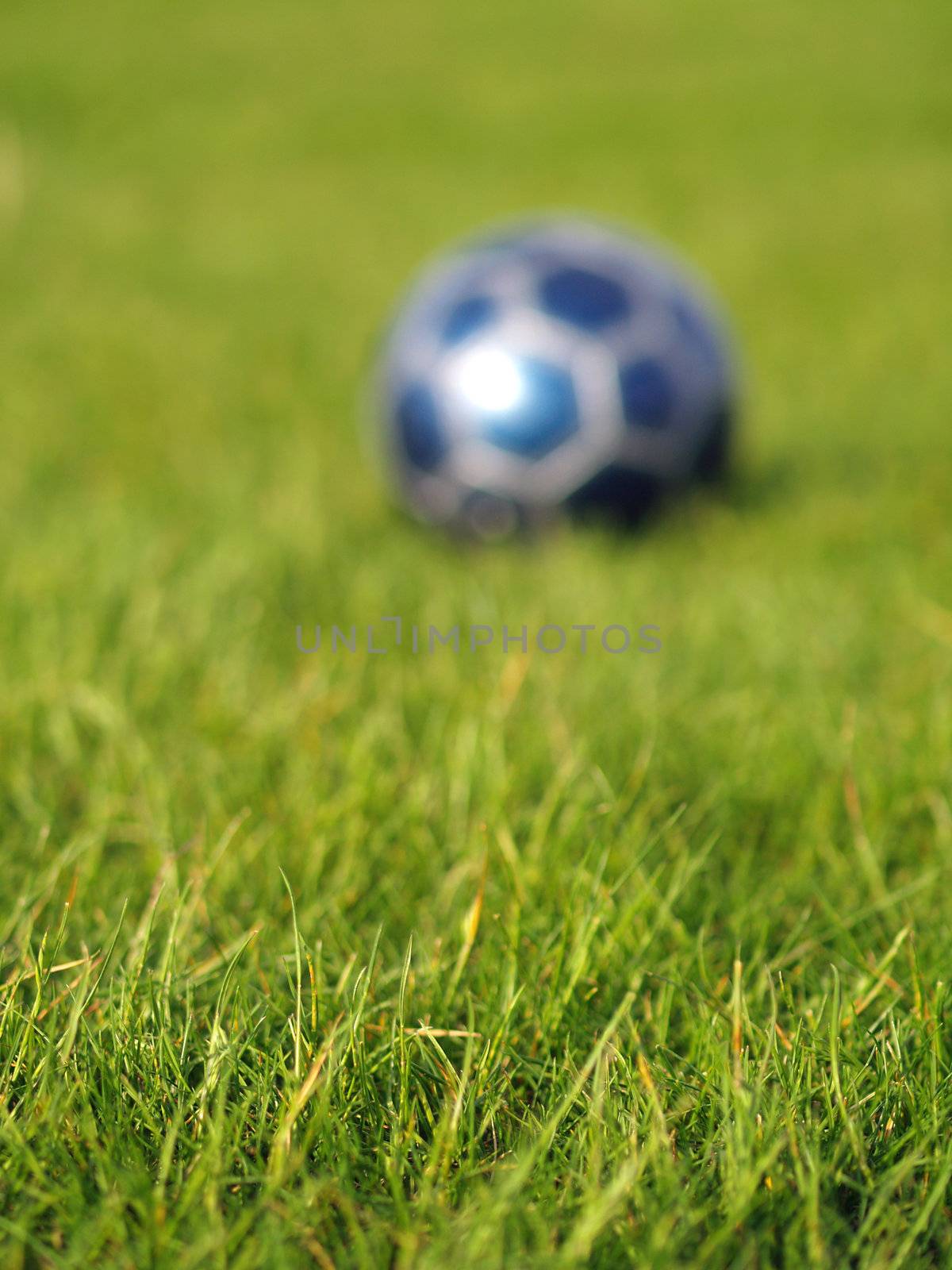 A blue soccer ball on a field of green grass on a bright, sunny day