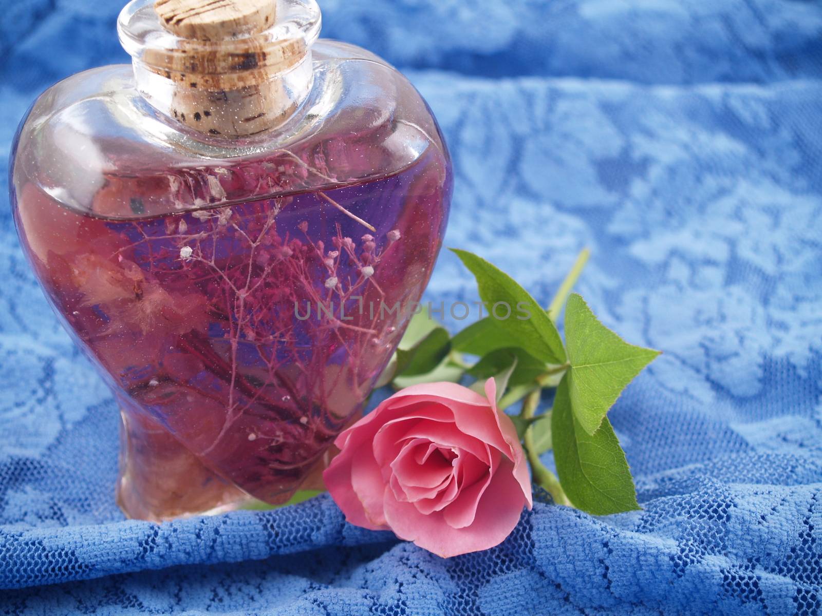 Soft Pink Roses Arranged in a Romantic Scene on Blue Lace