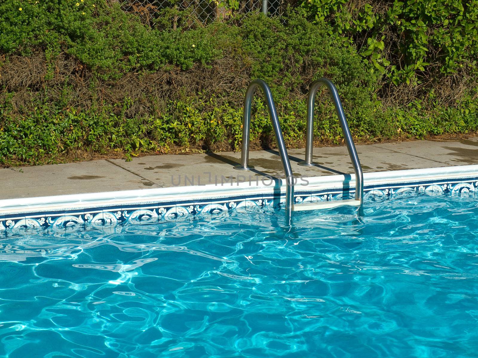 Blue Swimming Pool Water. Ladder, and Pool Edge in Full Sunlight