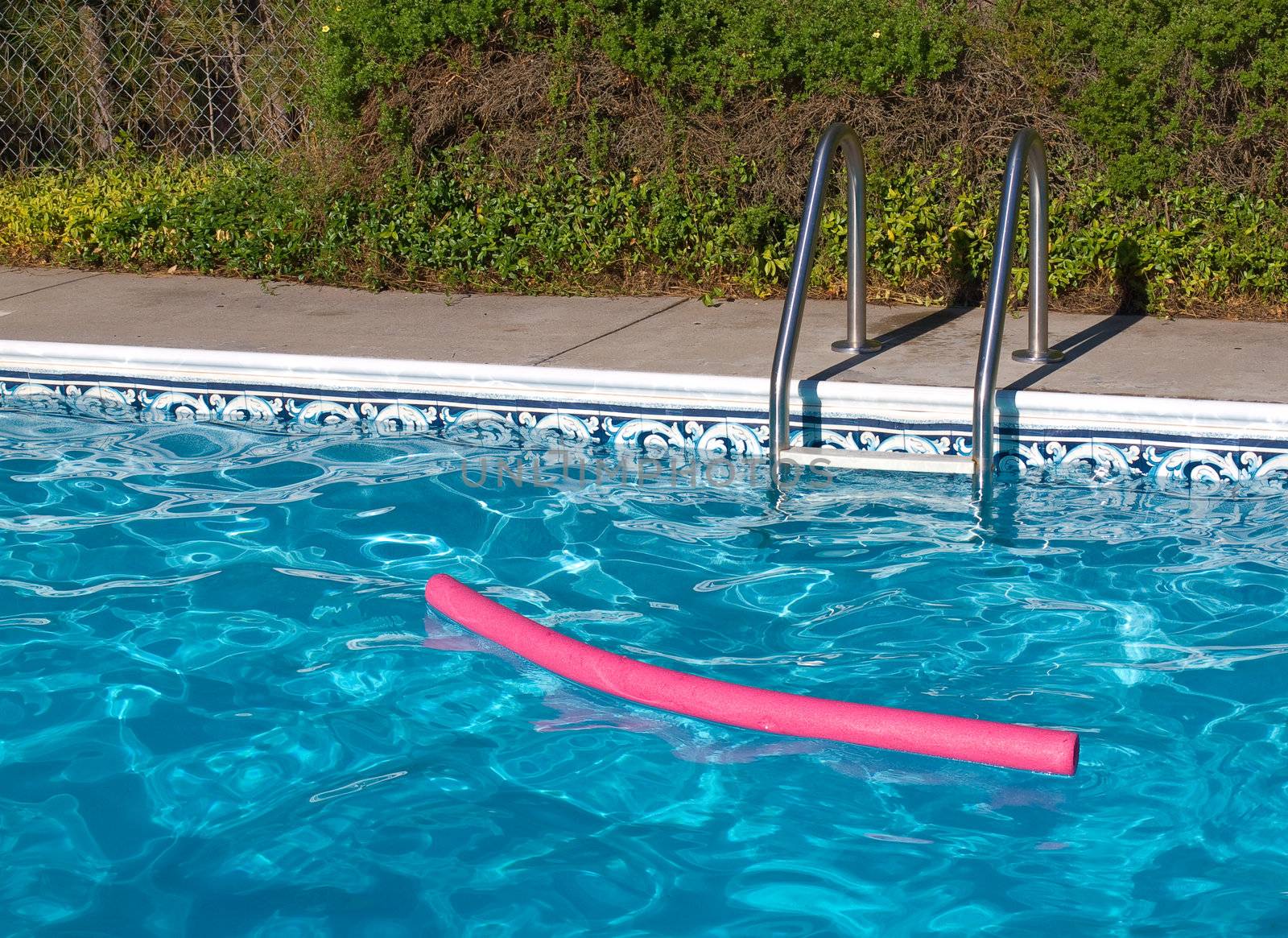 Blue Swimming Pool. Ladder, and Pink Pool Toy in Full Sunlight