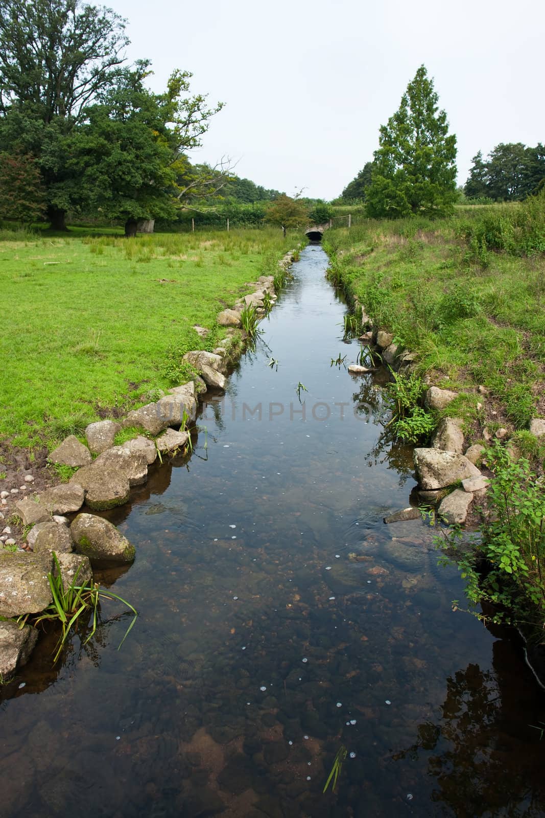 Small river stream between green fields