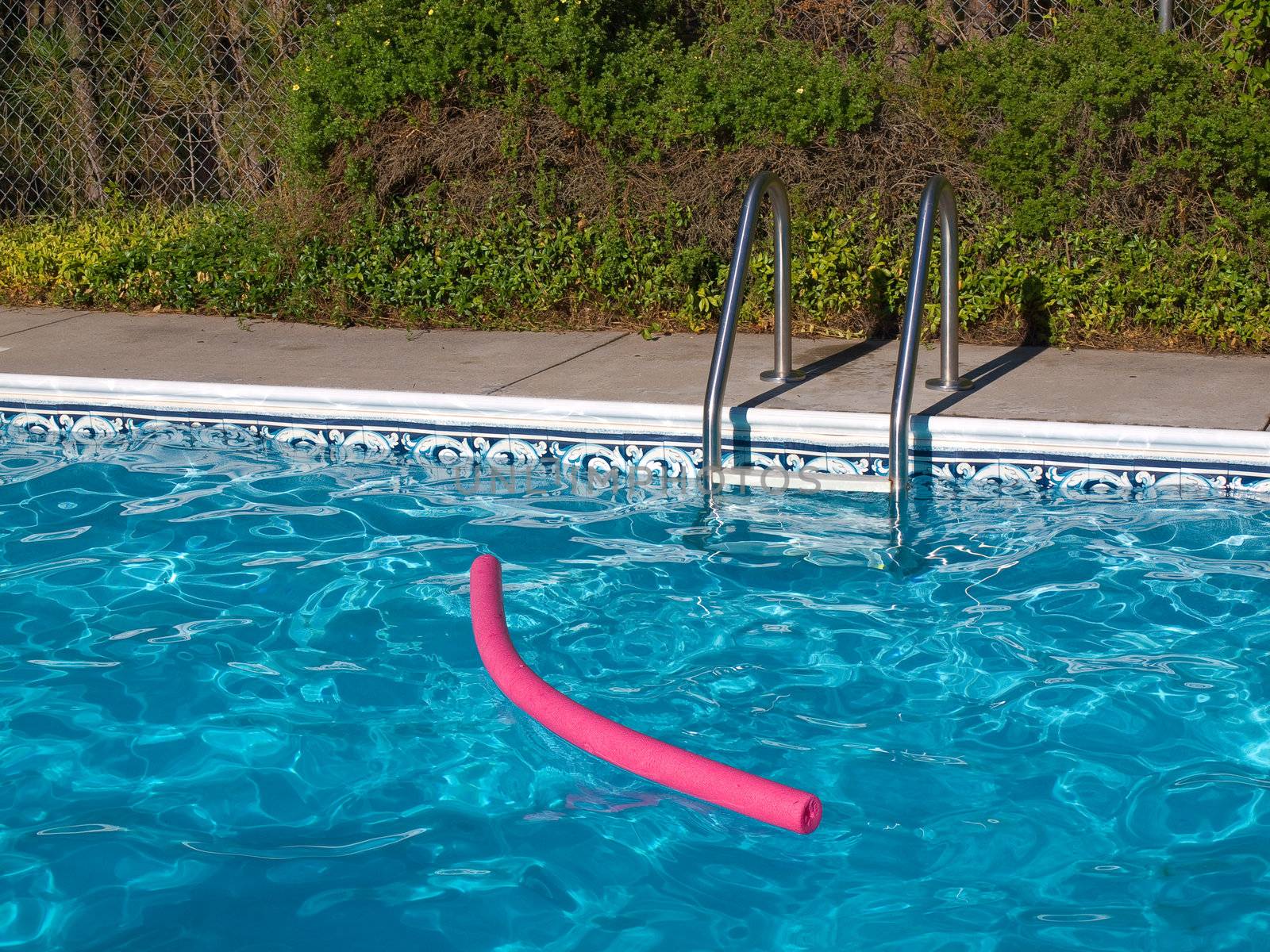 Blue Swimming Pool. Ladder, and Pink Pool Toy in Full Sunlight