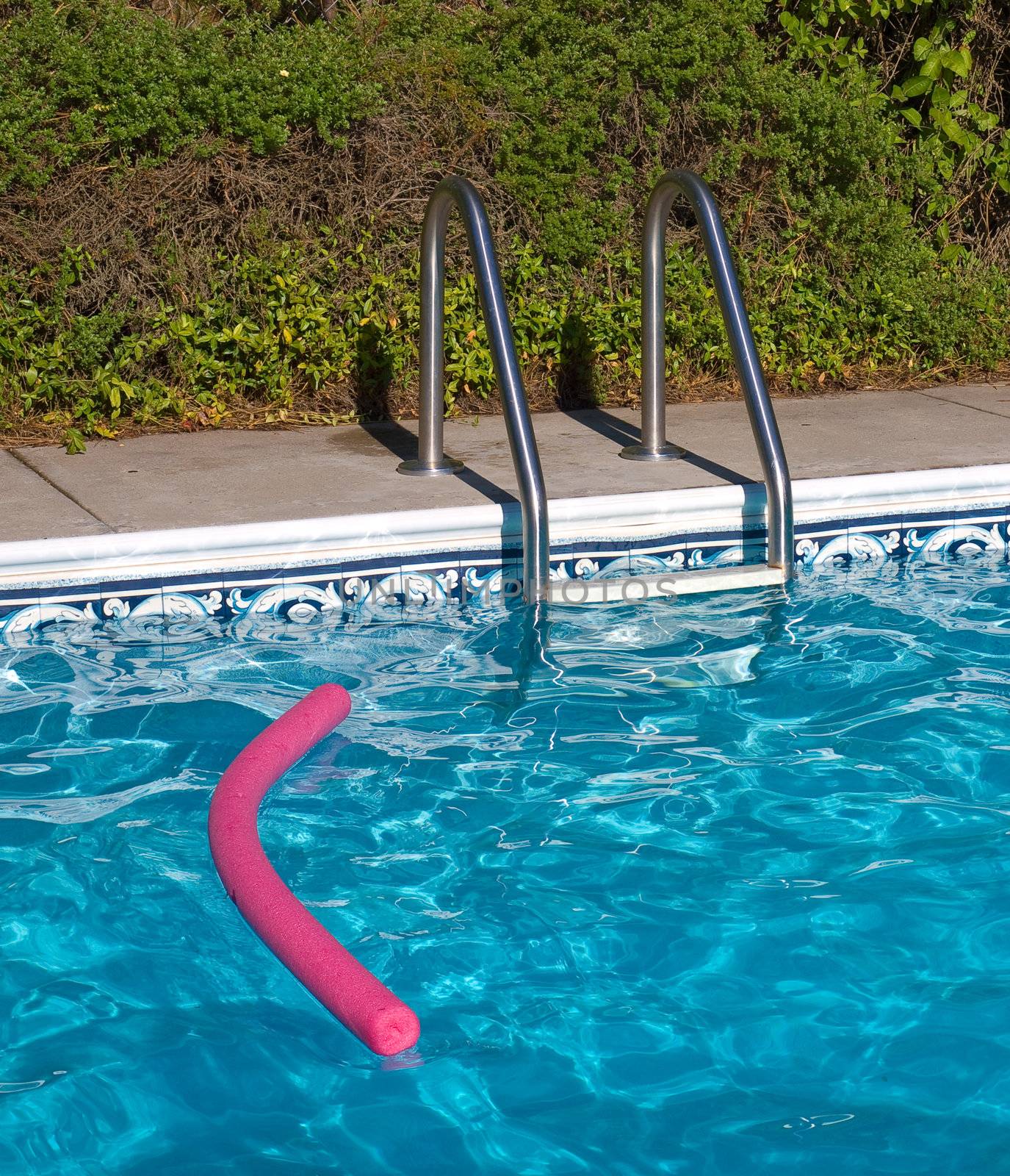 Blue Swimming Pool. Ladder, and Pink Pool Toy in Full Sunlight