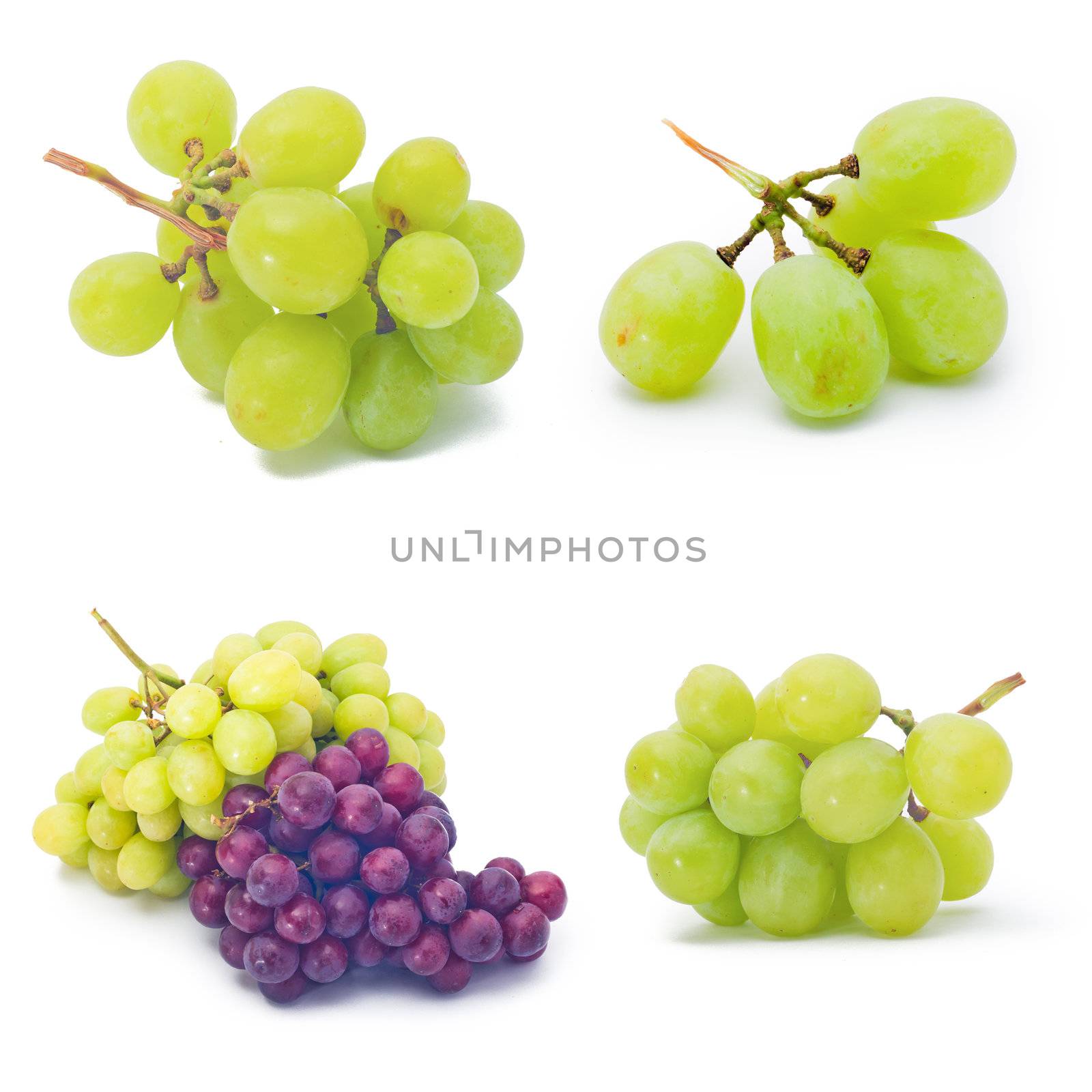 collection grapes. collection grapes on the white