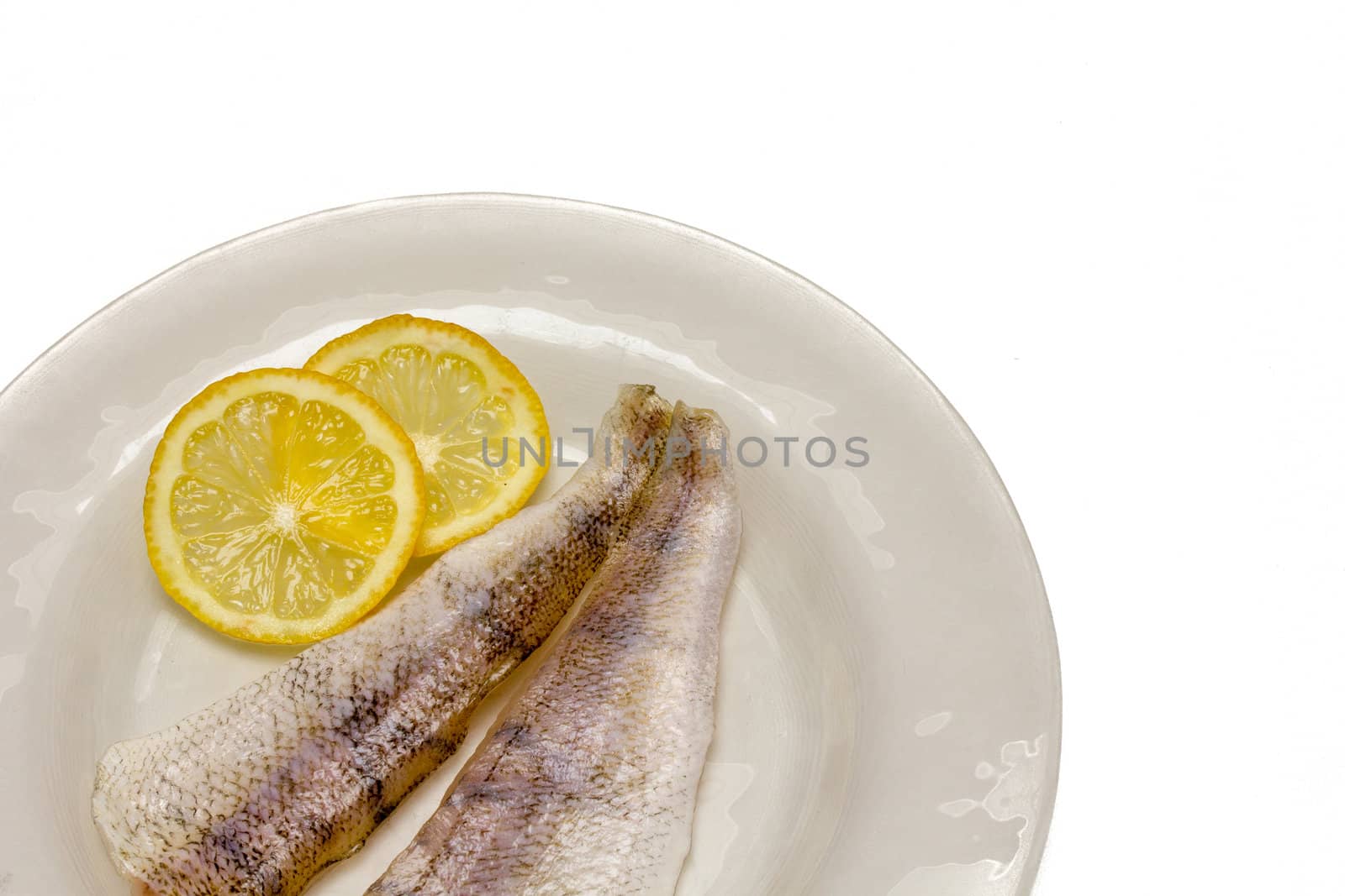 Raw fish filets with lemon slices in white plate