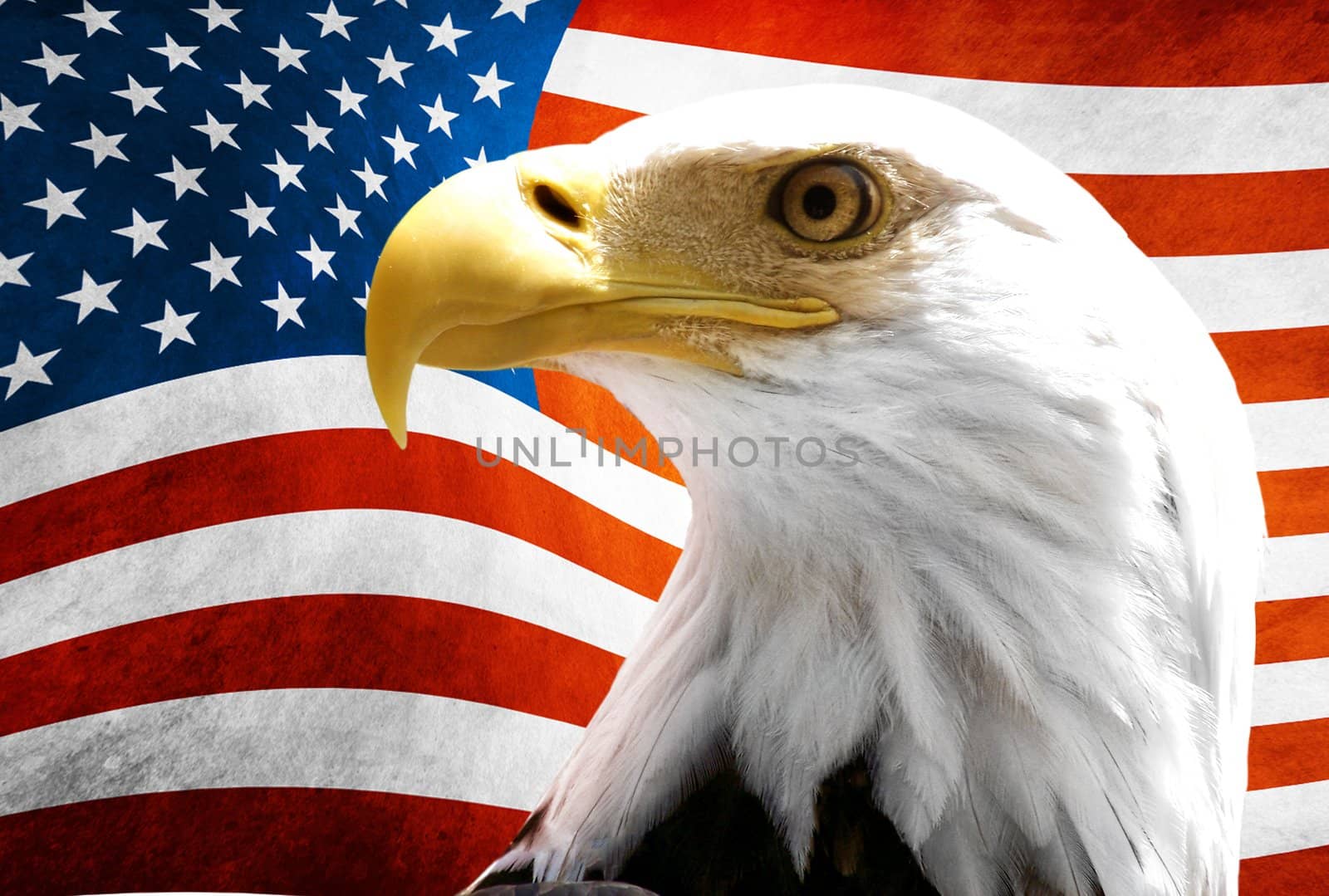 Eagle in the foreground with the American flag blurred by shutswis