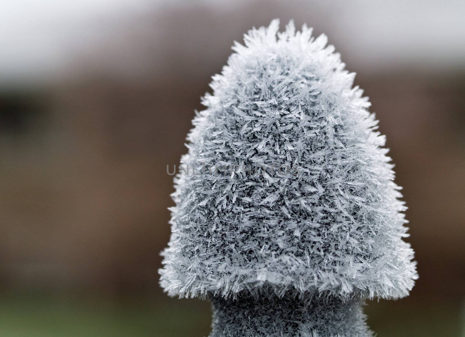 Ice Crystals on Metal in the Early Morning With a Shallow Depth of Field