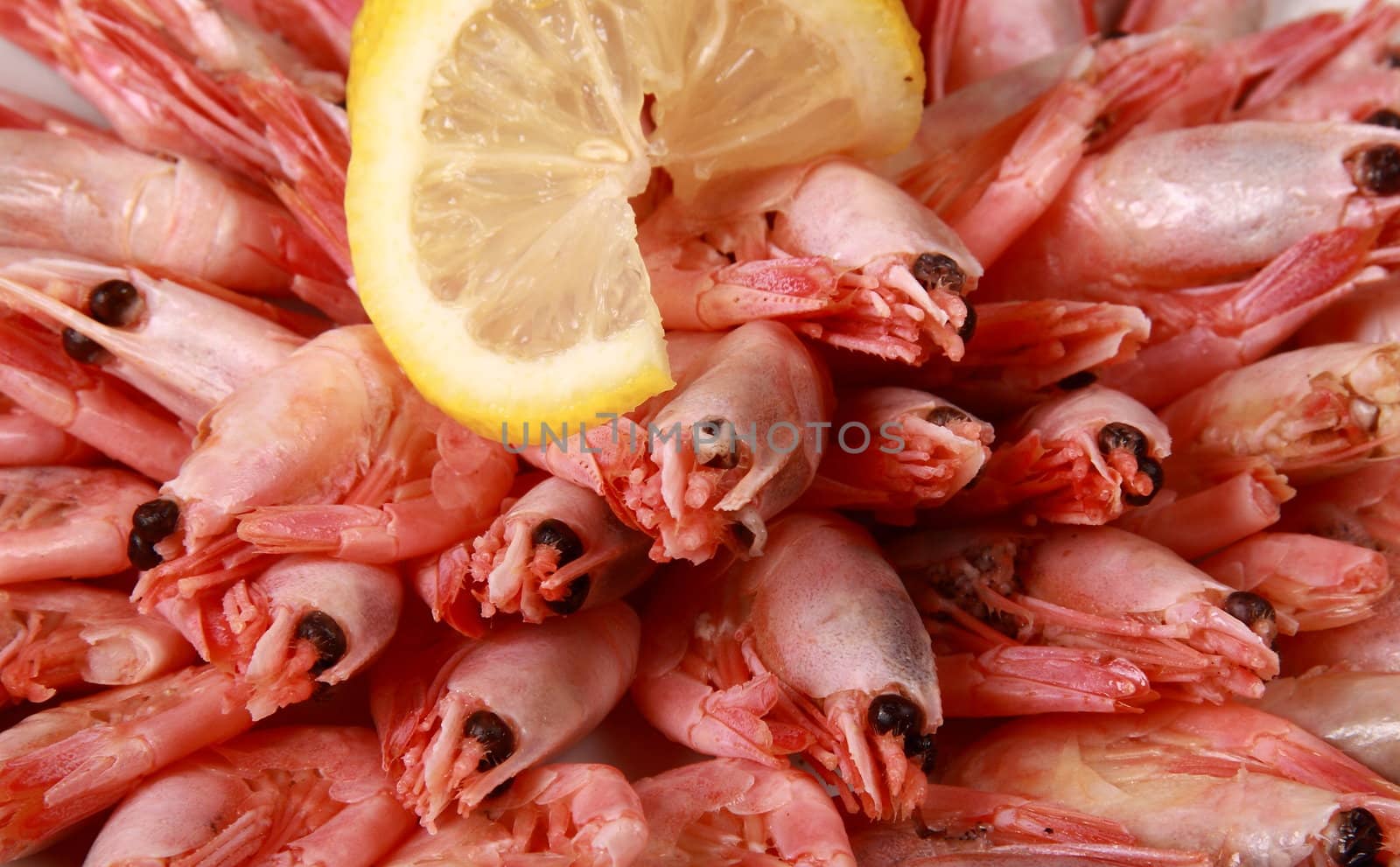 shrimp with lemon close up for you