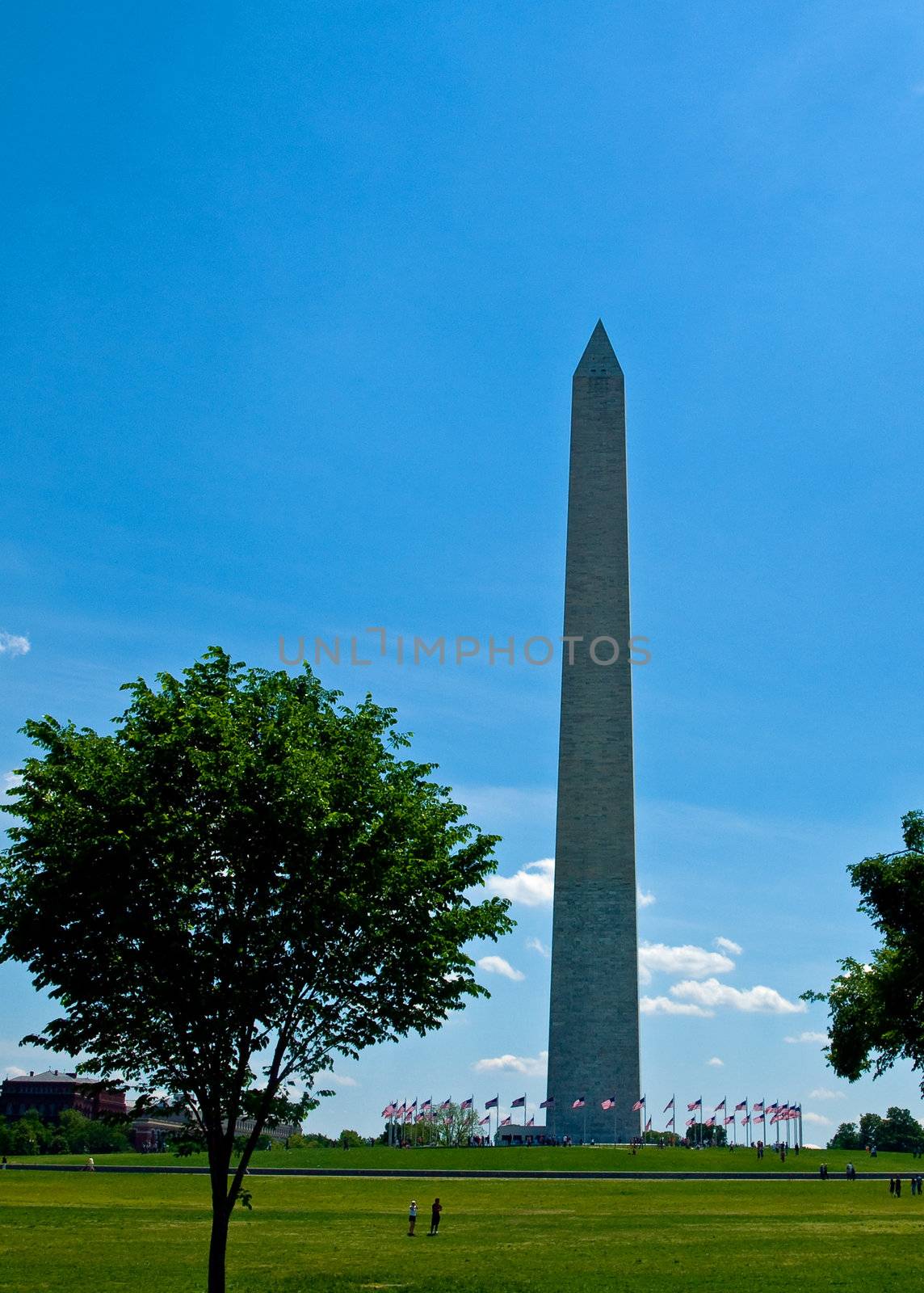 The Washington Monument at Springtime in Washington DC